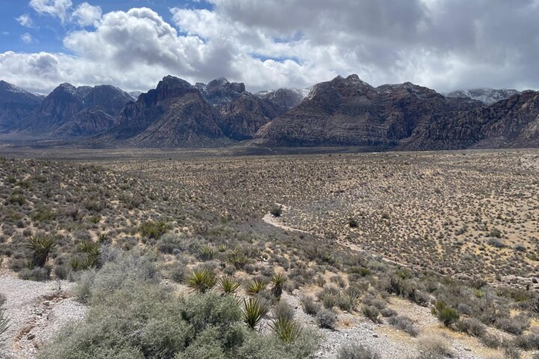 Las Vegas Hiking Tour at Spring Mountain 4 hr - Image 3