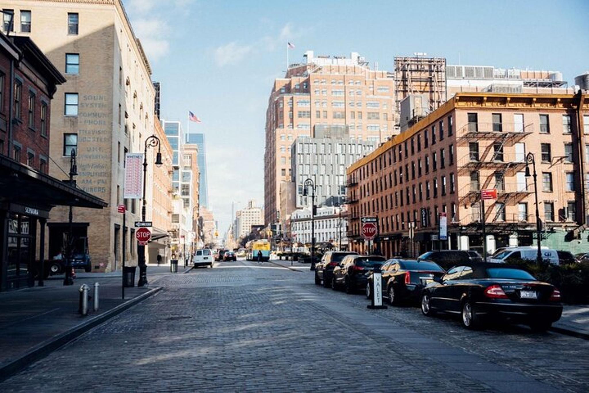 New York City Walking Tour of High Line, Hudson River, and Chelsea - Image 3
