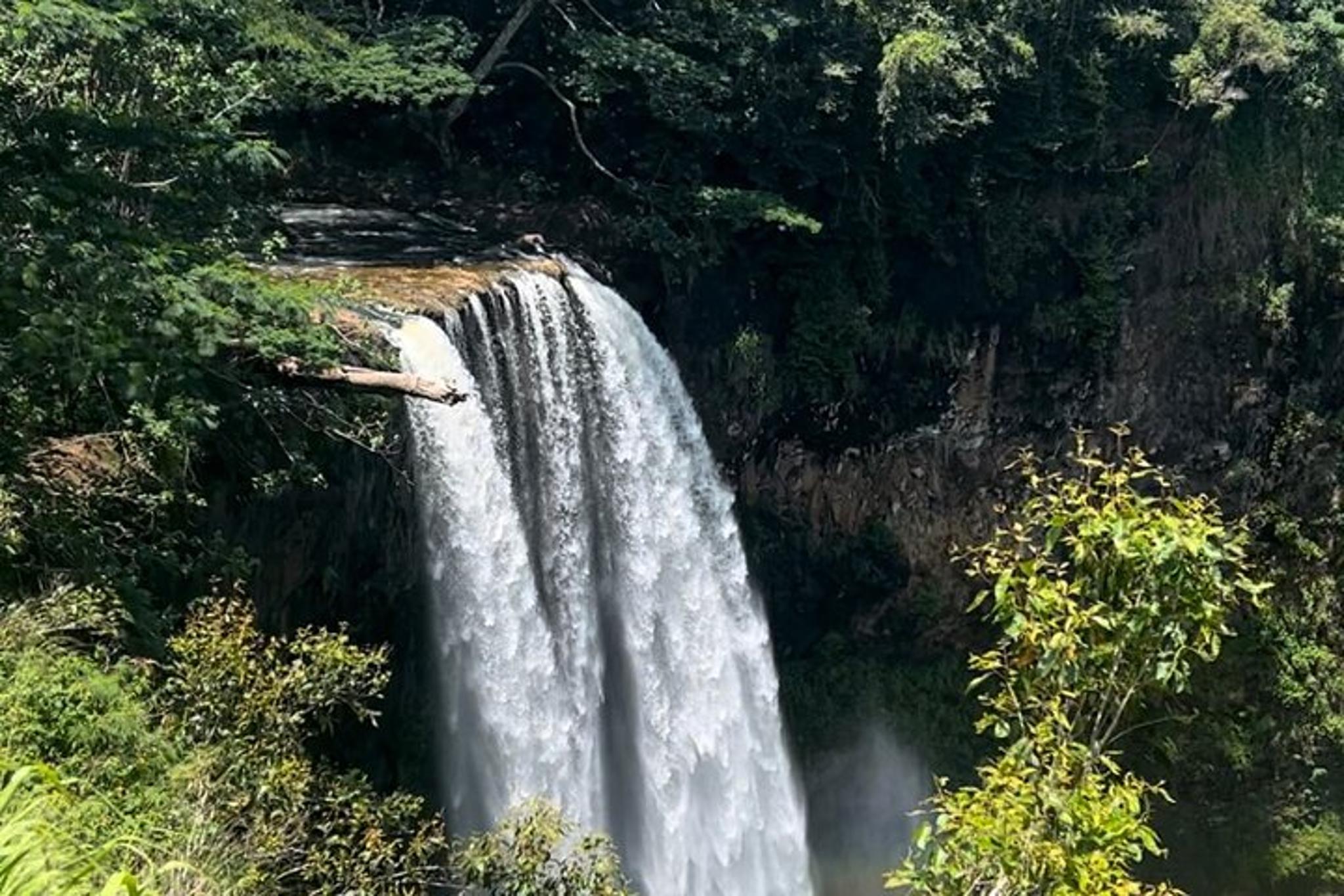 Kauai Waterfalls and Local Grinds Tour - Image 4