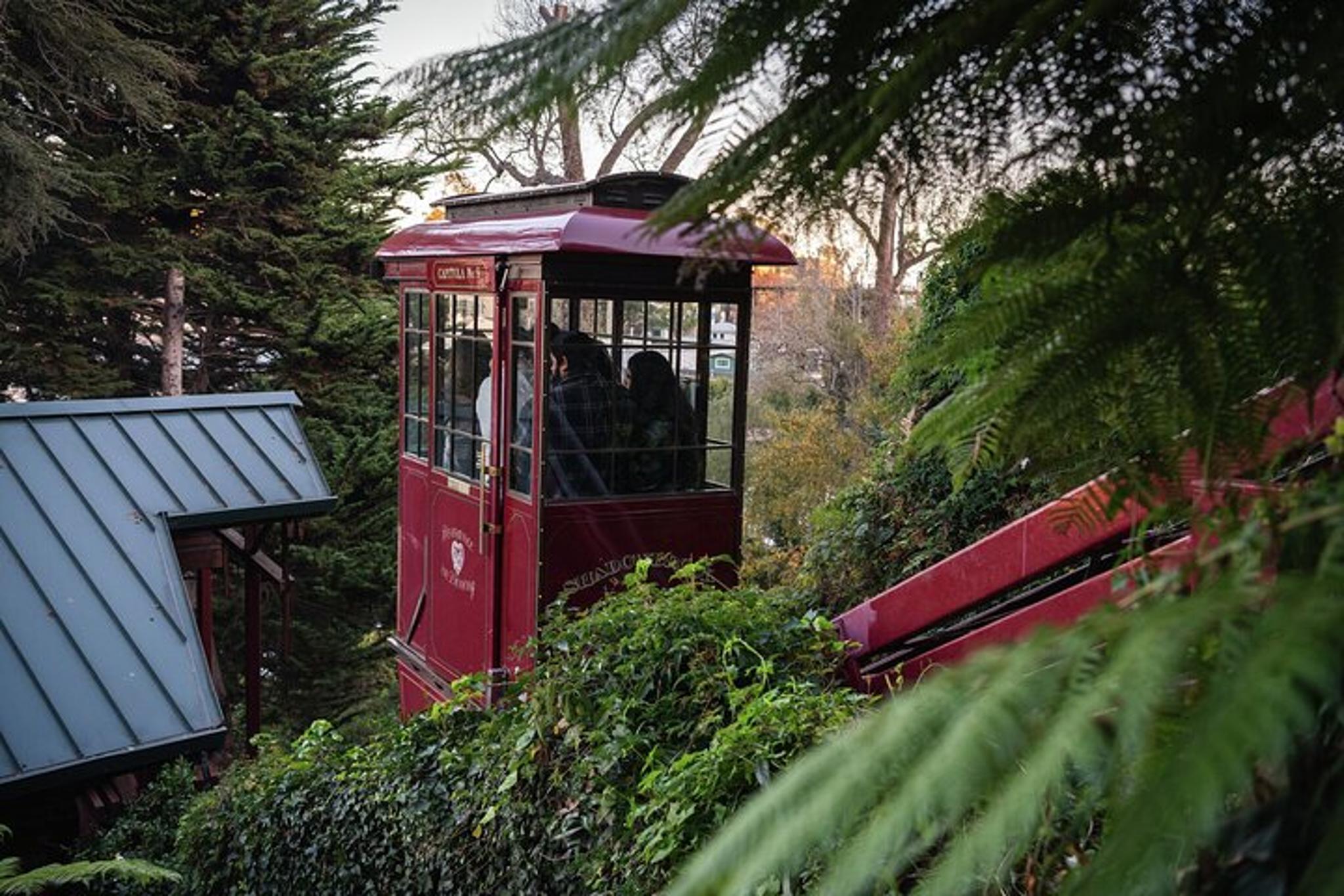 San Francisco to Los Angeles Coastal Road Trip - Image 6