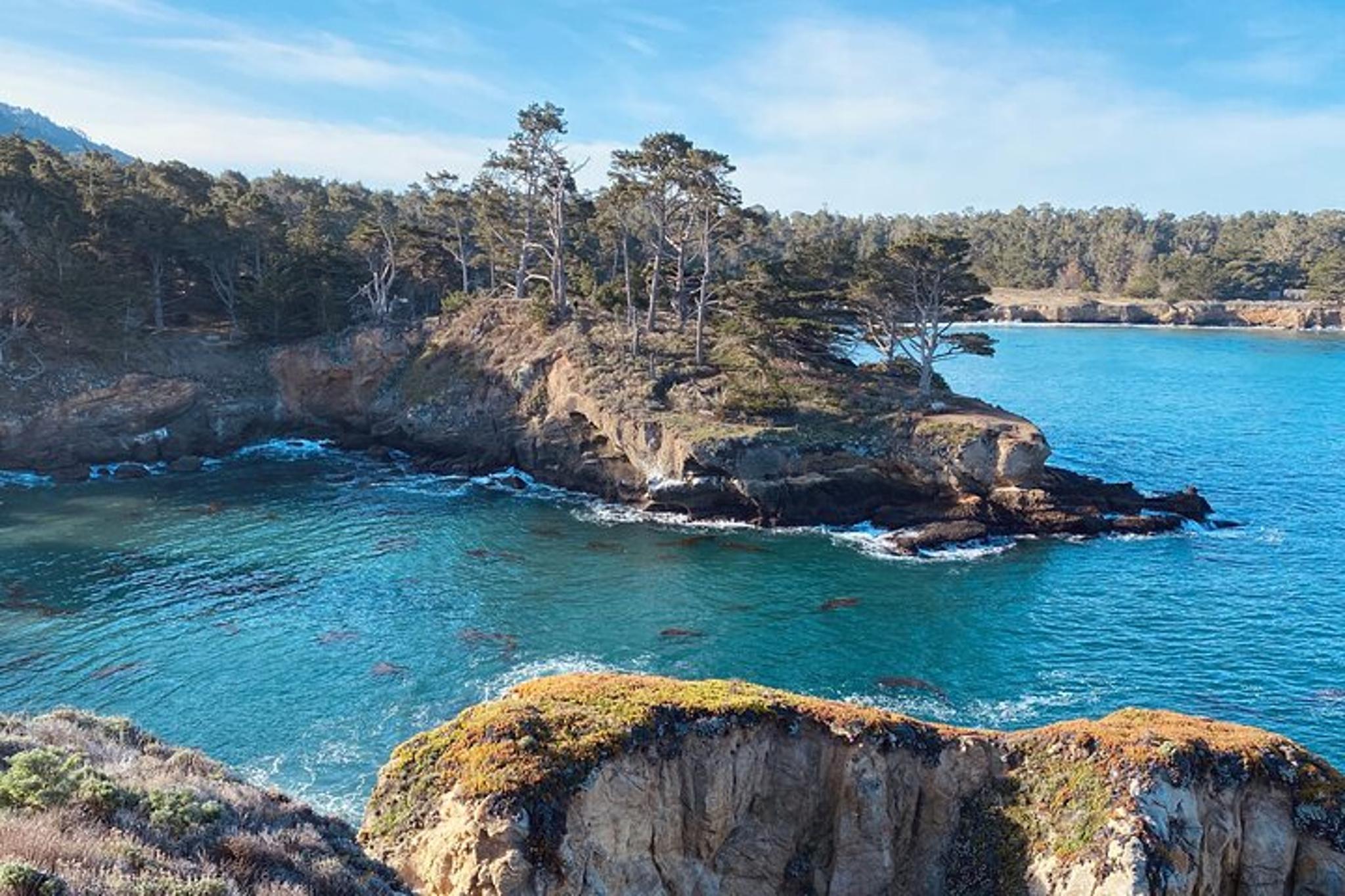 Point Lobos Self-Guided App Tour - Image 5