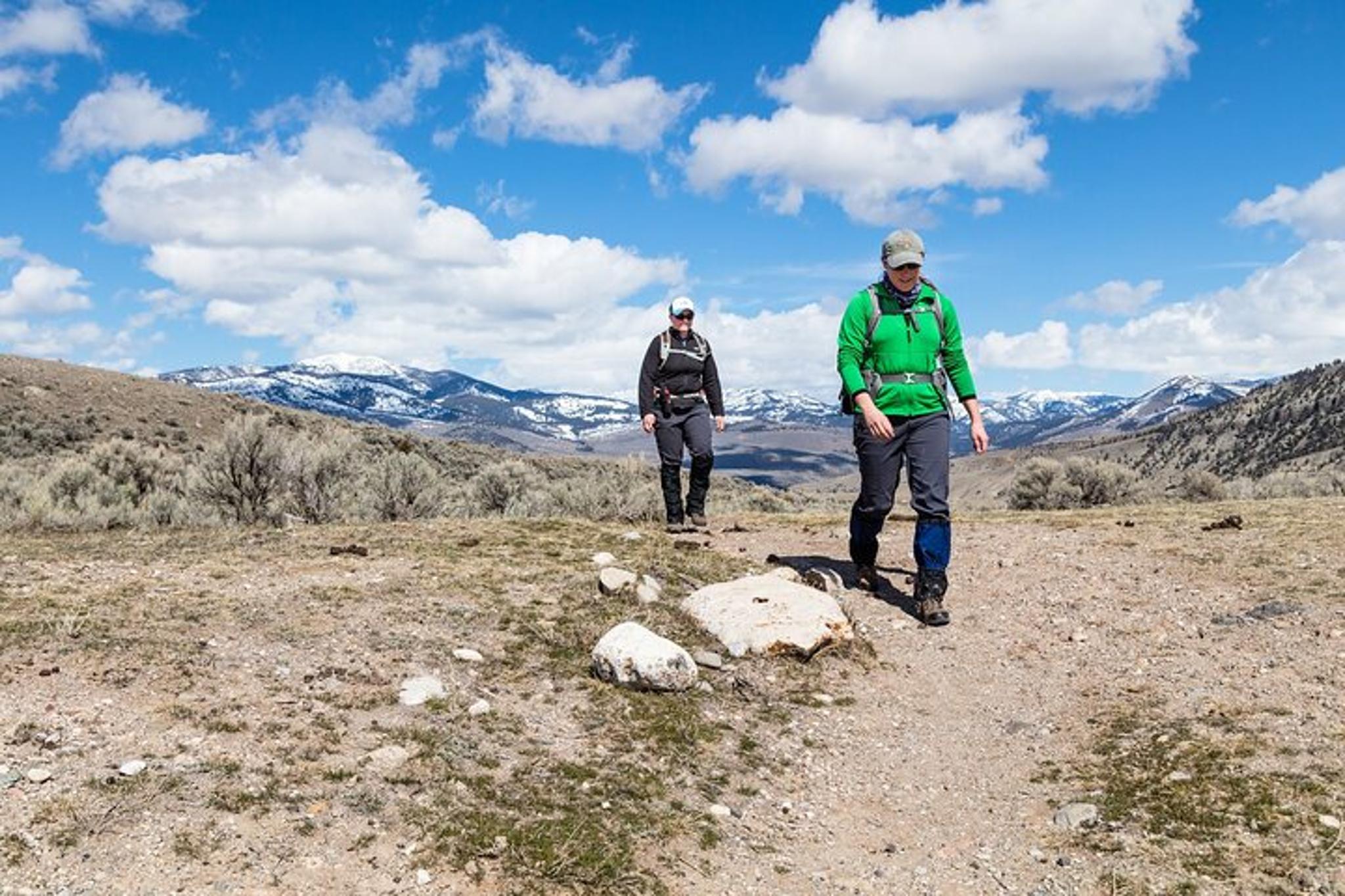 Yellowstone Beaver Ponds Naturalist Hike - Image 4