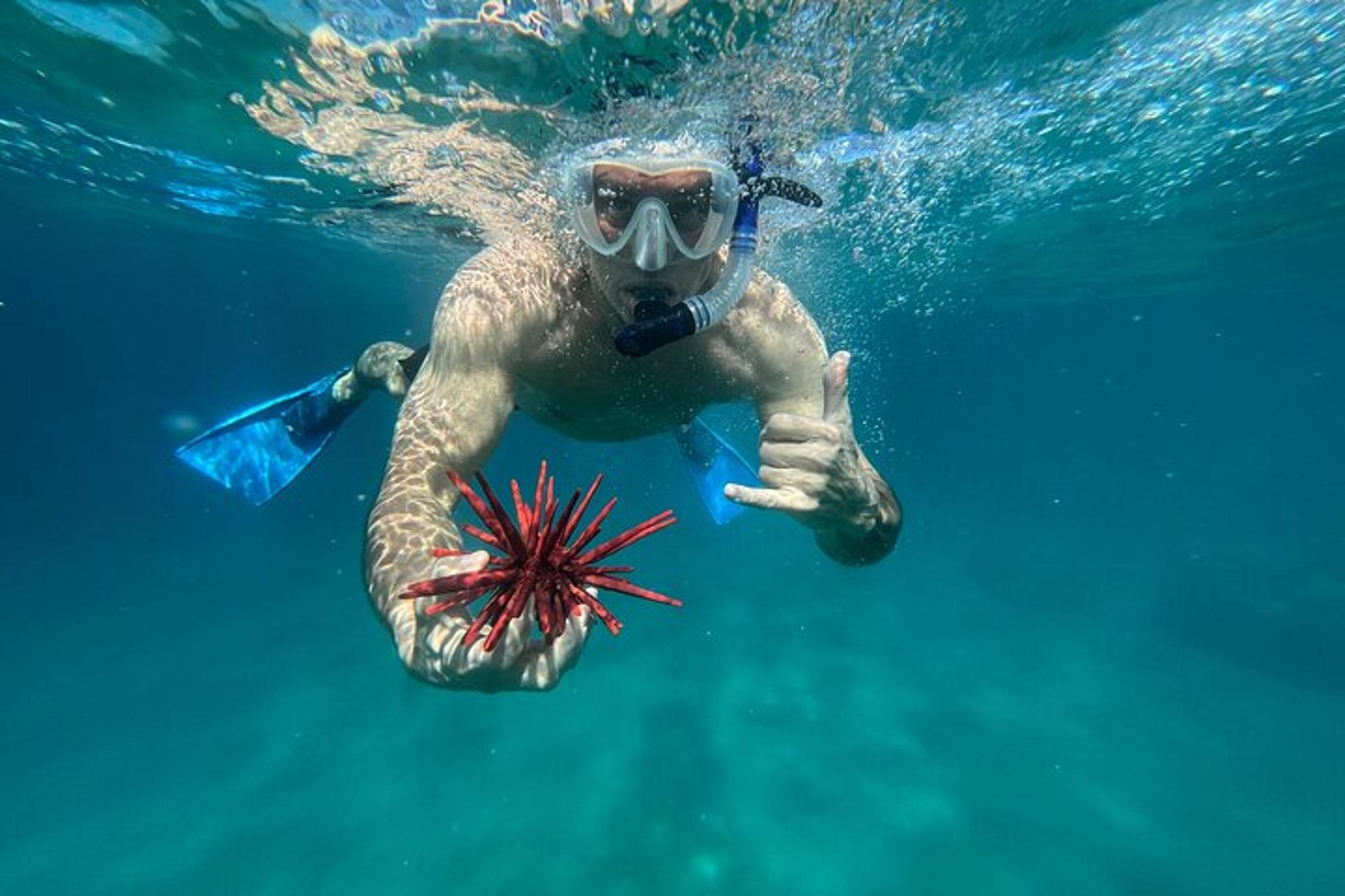 Maui Snorkeling Tour with Photos 2.5 hr - Image 4