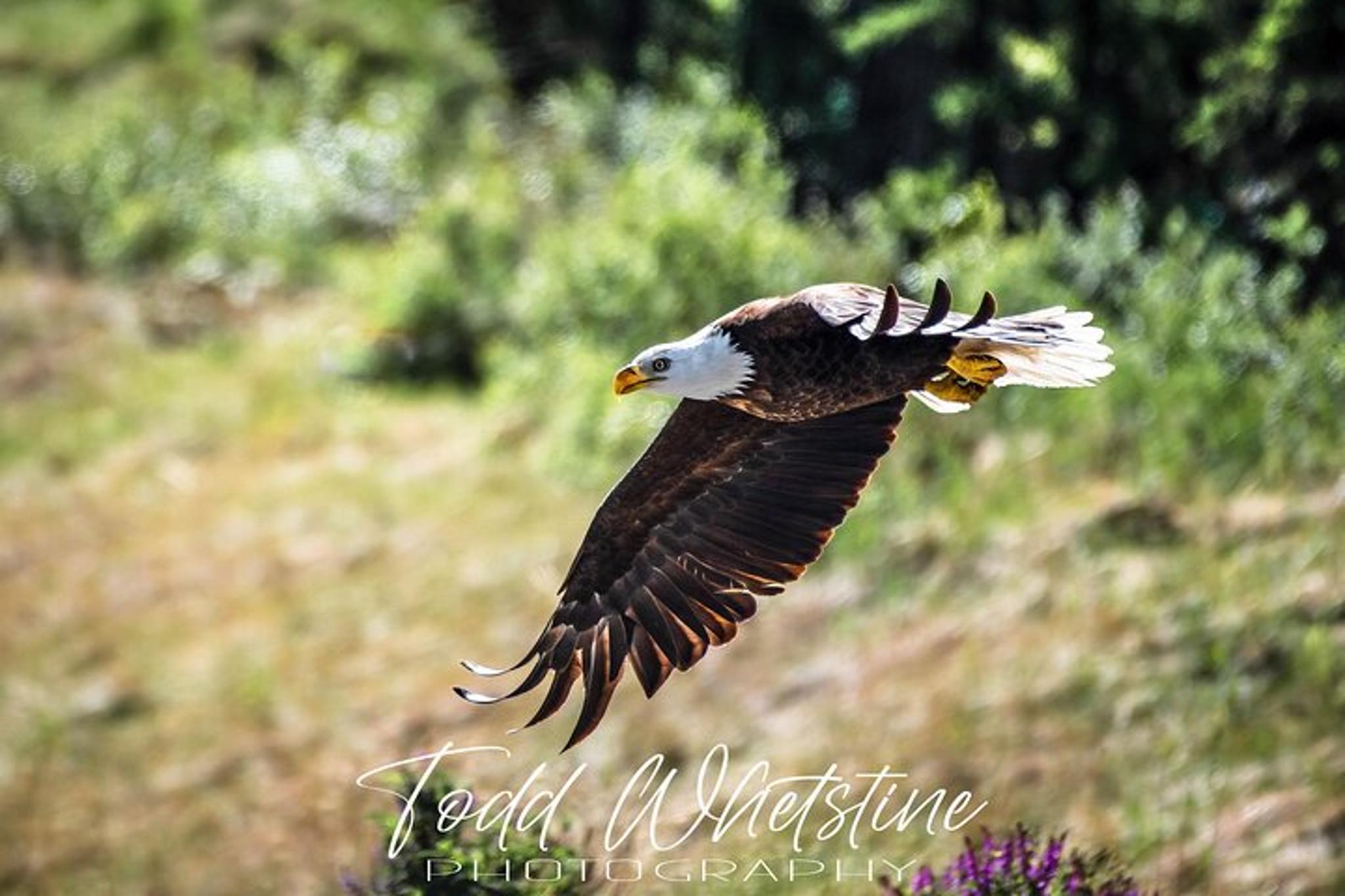 Denali Photo Workshop - Image 3