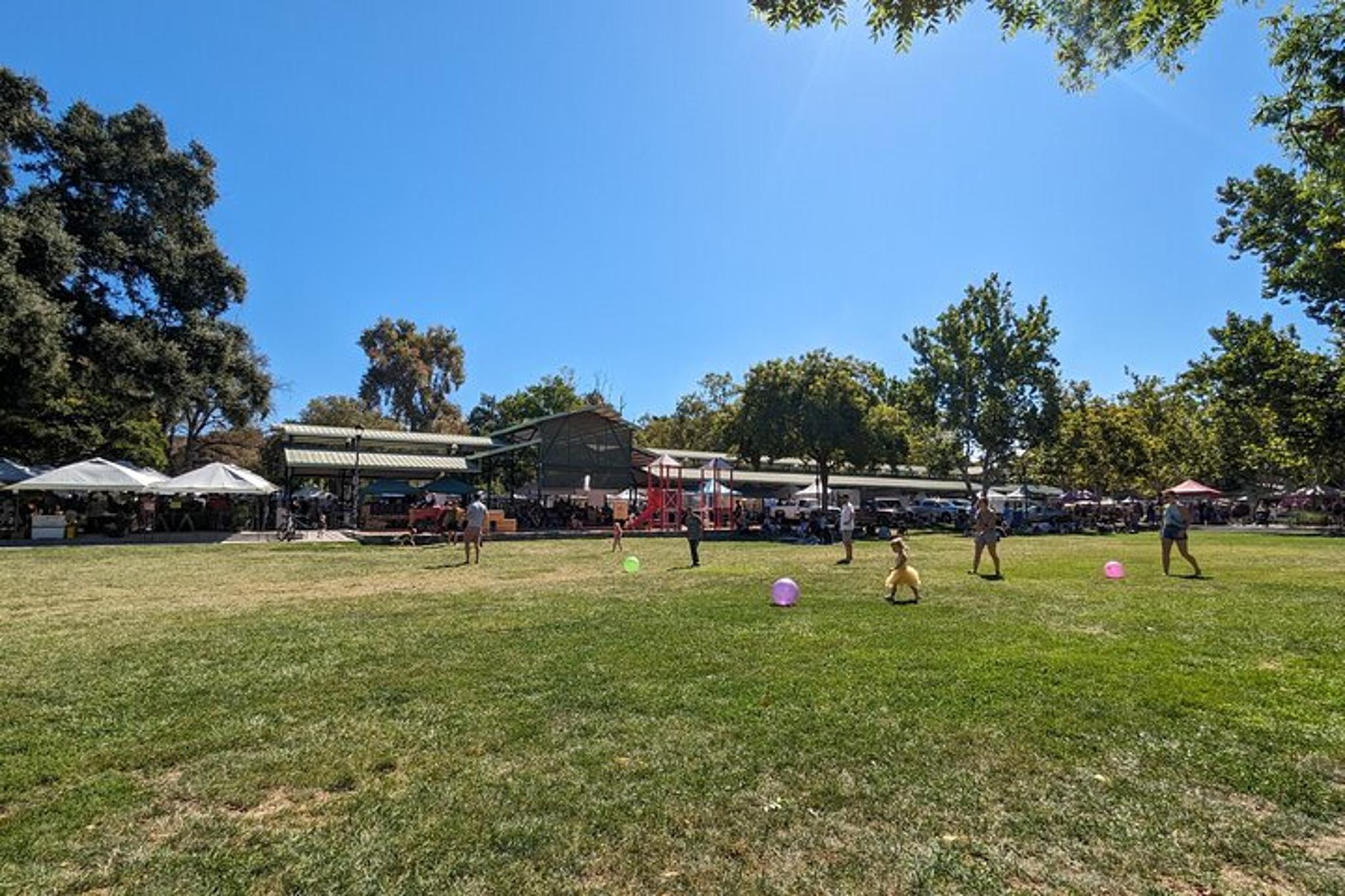 Davis Scavenger Hunt Walking Tour - Image 3