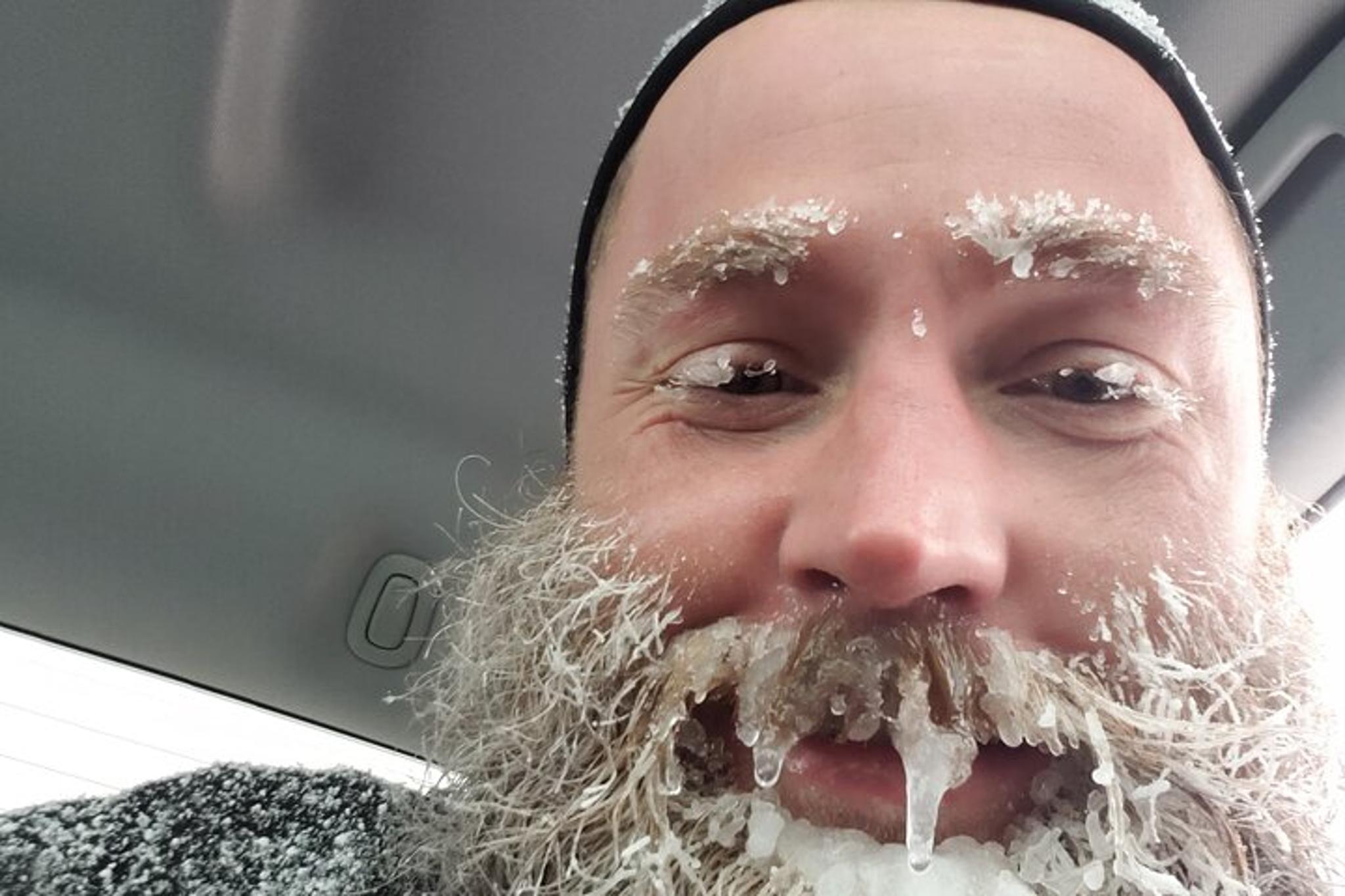 Yellowstone Winter Wildlife Tour - Image 2