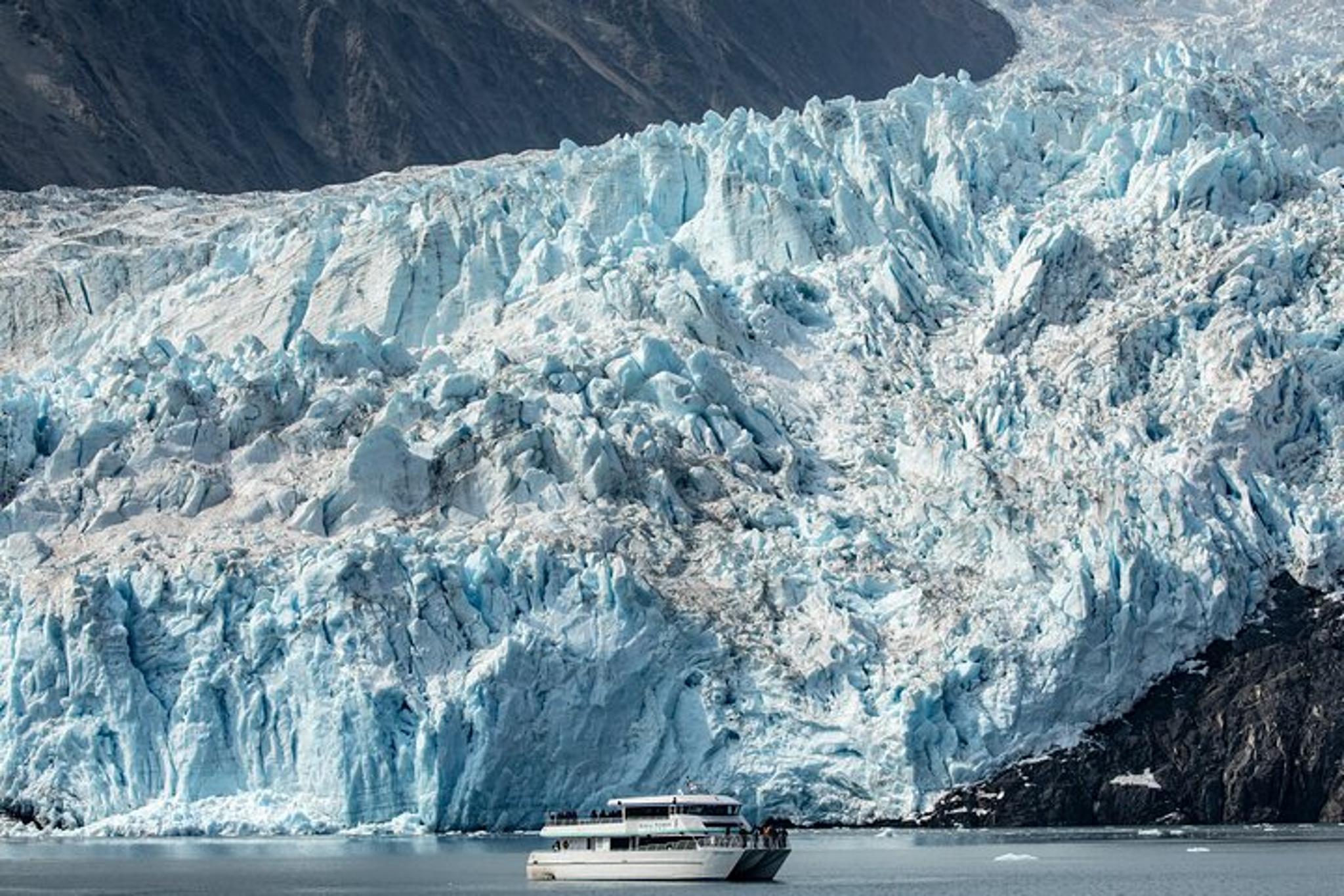 Seward Kenai Fjords National Park Tour