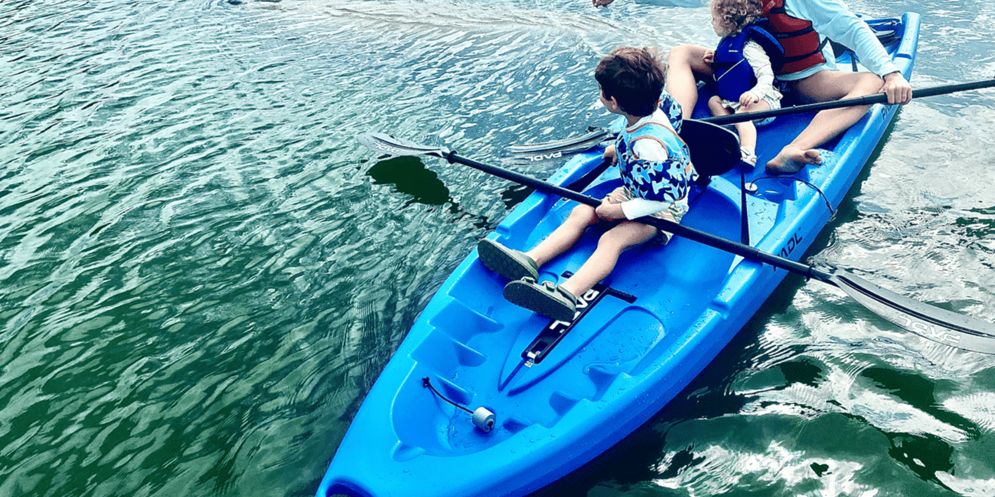 Miami Paddleboard or Kayak Tour in Manatee Season - Image 4