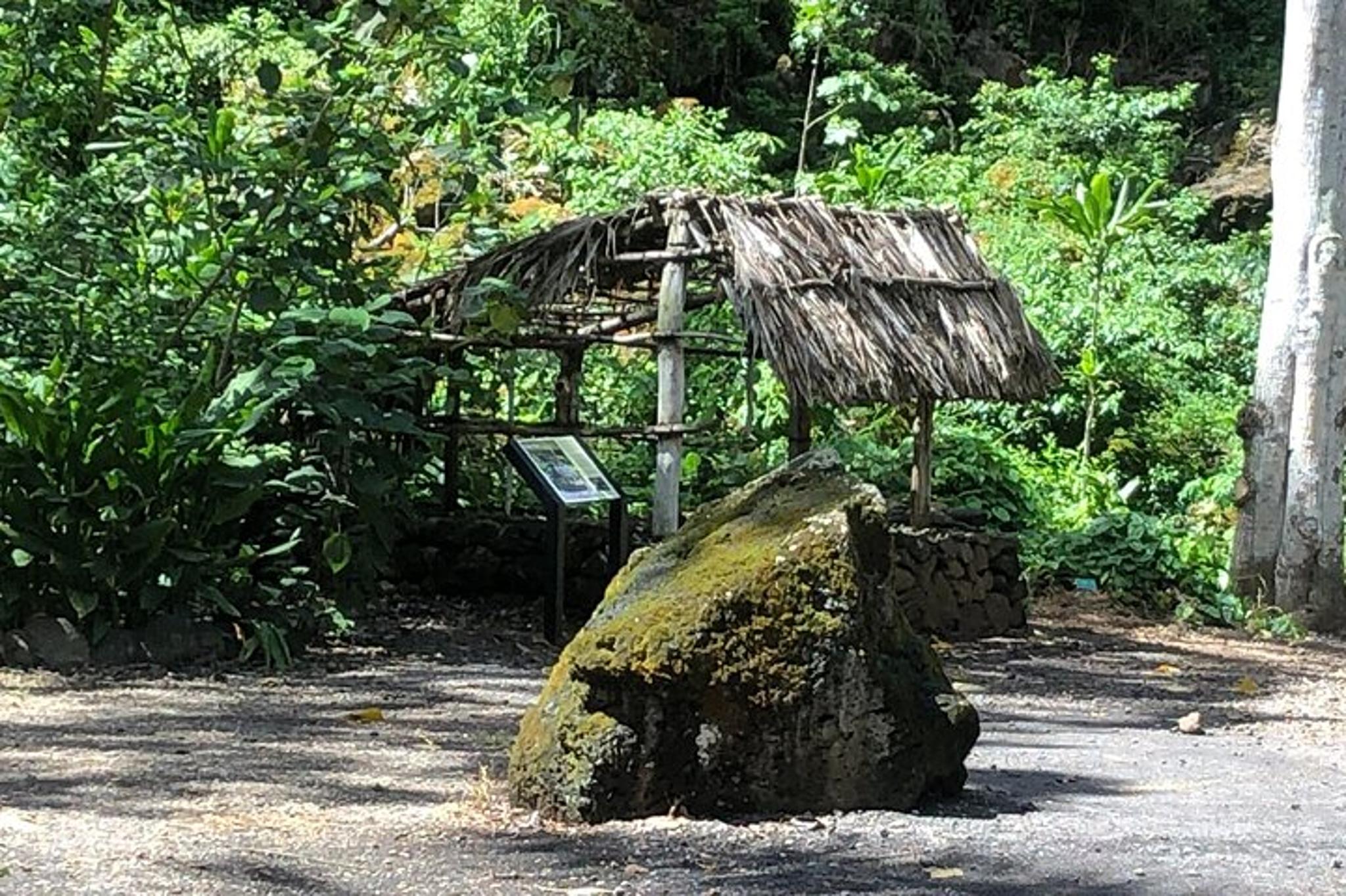 Oahu North Shore Eat & See Tour - Image 5