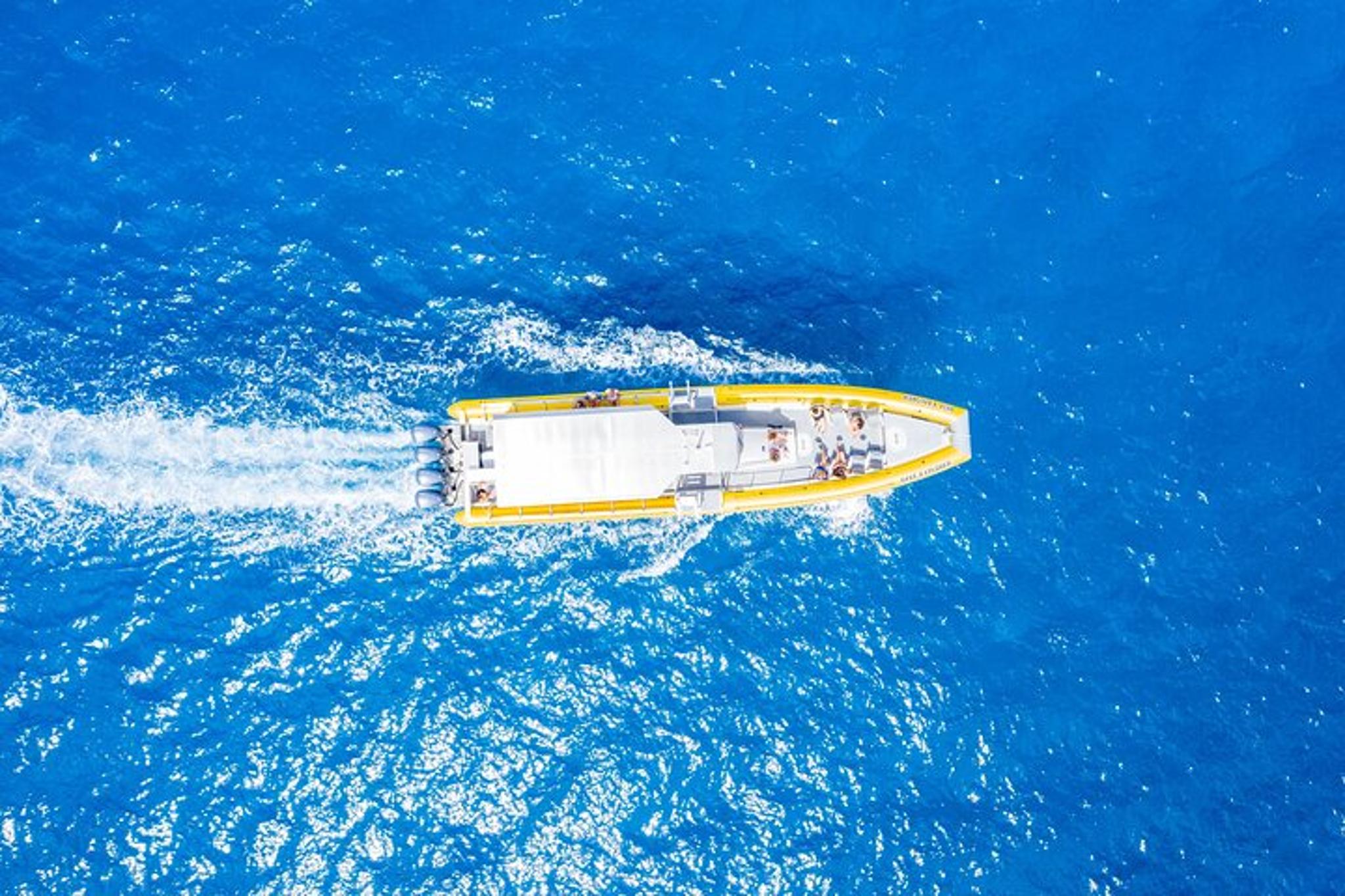 Maui Snorkel Adventure: Molokini Crater and Turtle Cove - Image 4