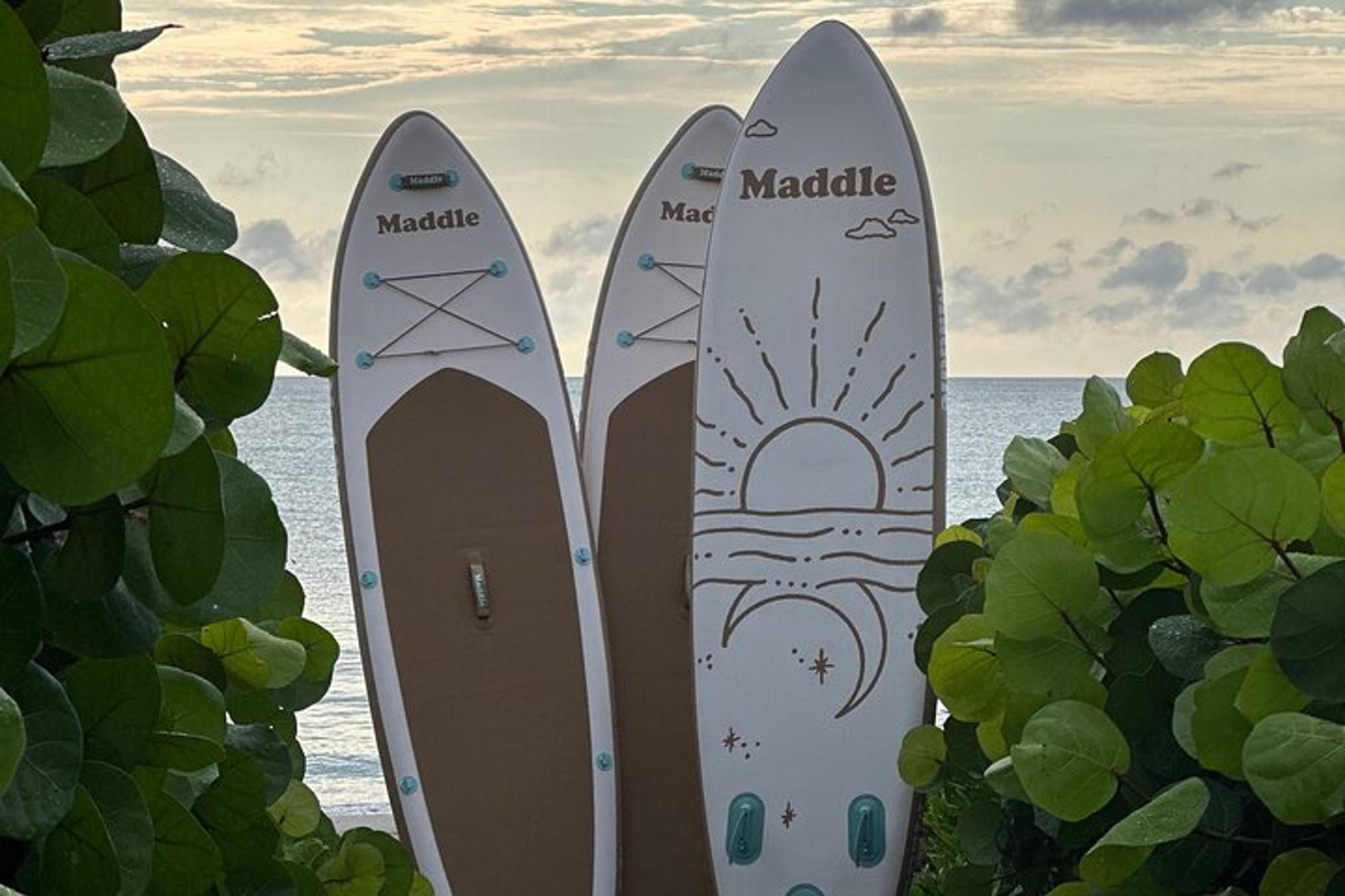 Palm Beach Paddle Board Picnic - Image 4