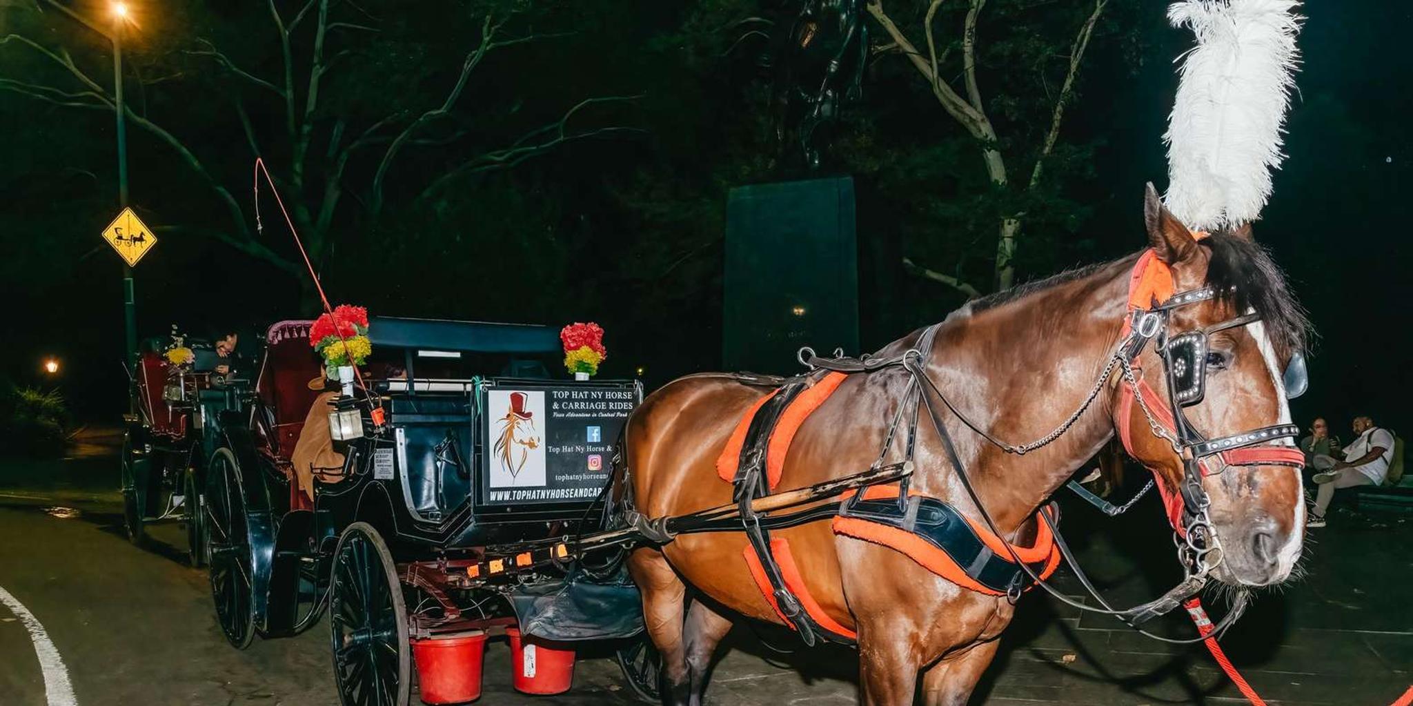 New York City Central Park Moonlight Horse Carriage Ride - Image 6