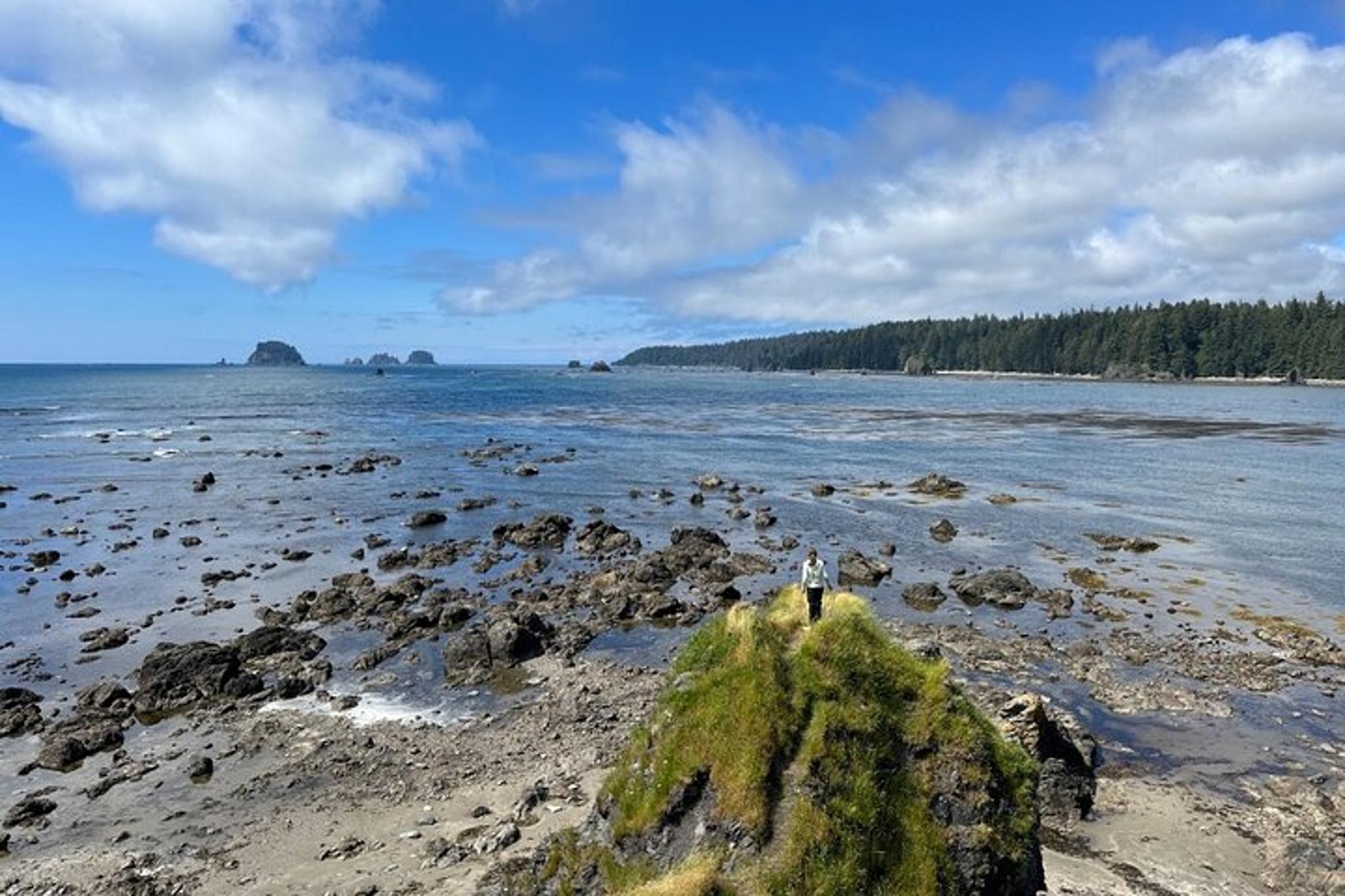 Olympic Backpacking Tour in North Coast 4-Day - Image 6