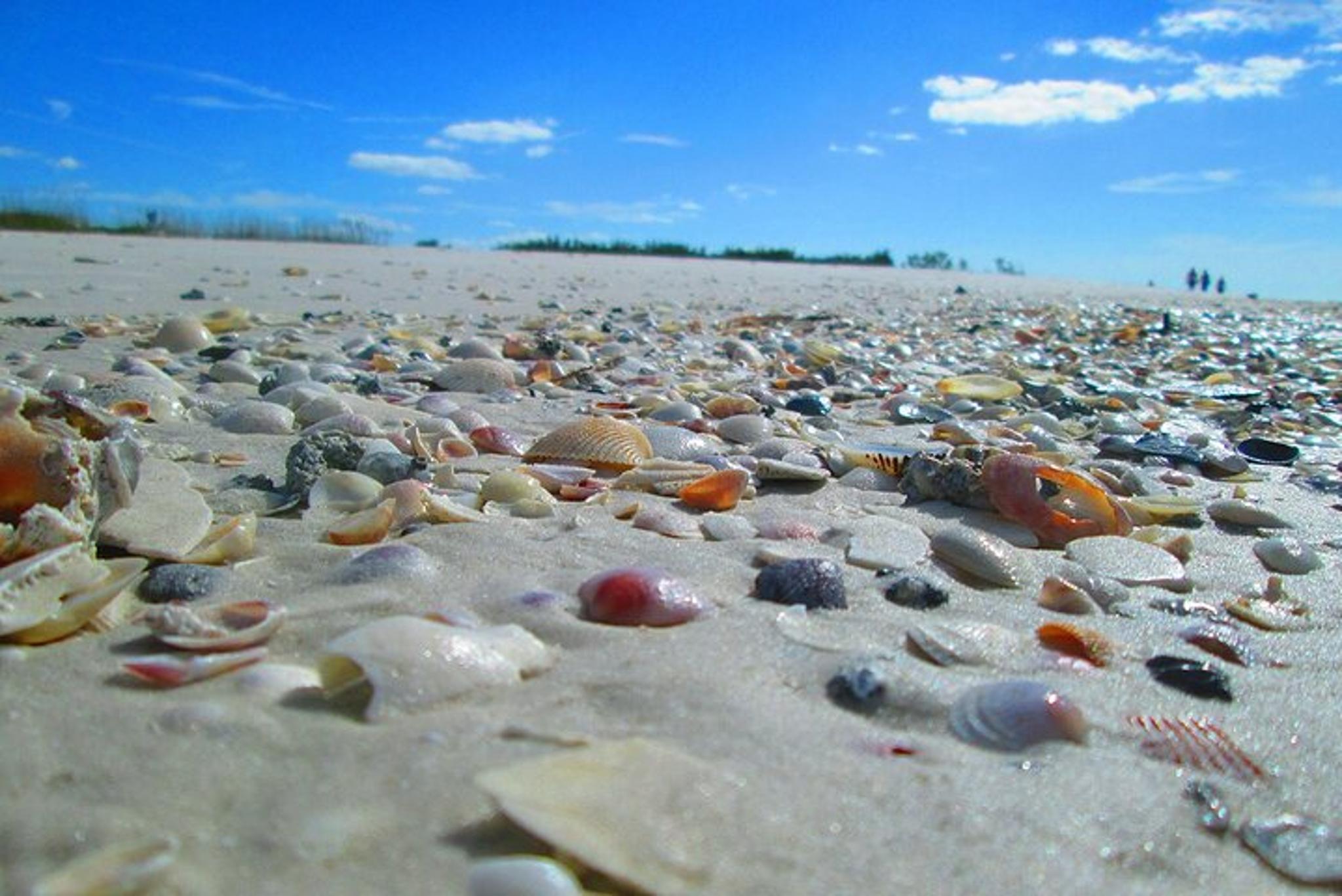 St. Petersburg Beach Tour 4 hr - Image 4
