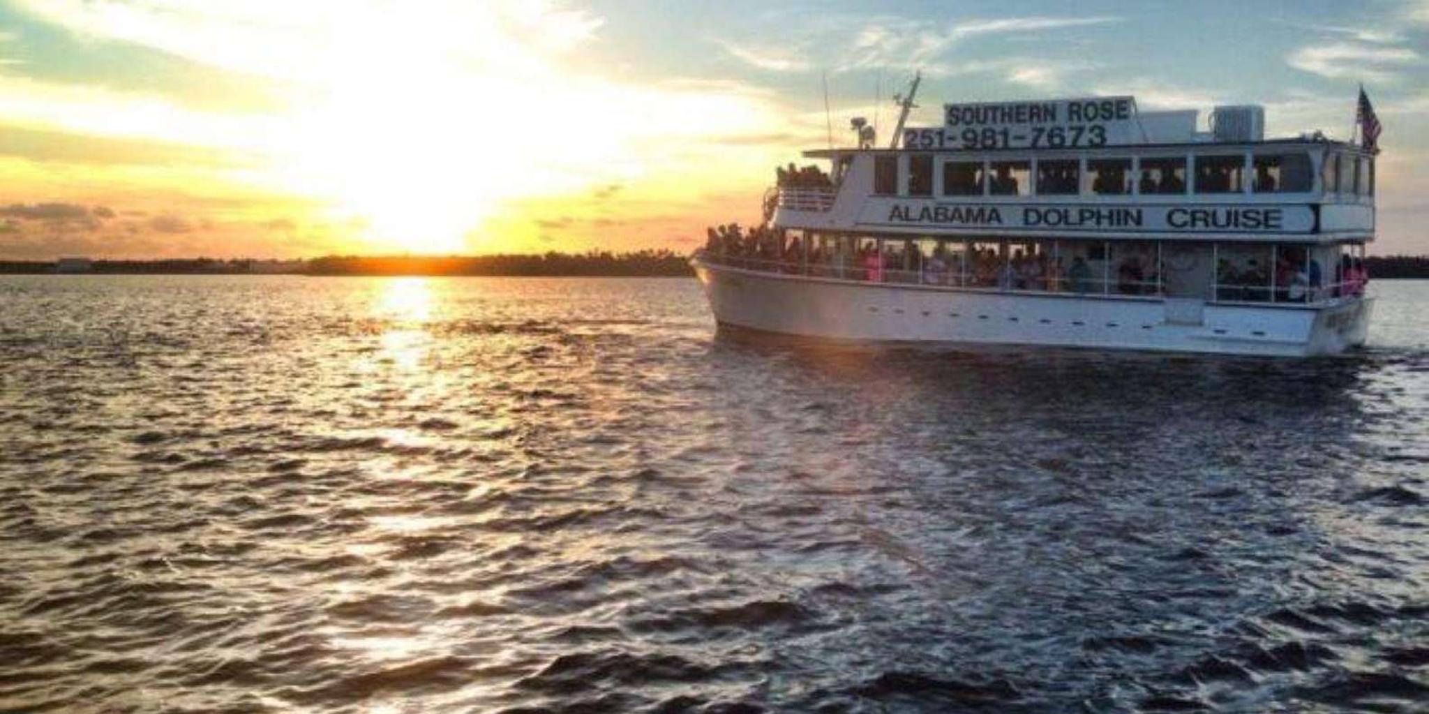 Orange Beach Dolphin Cruise - Image 4