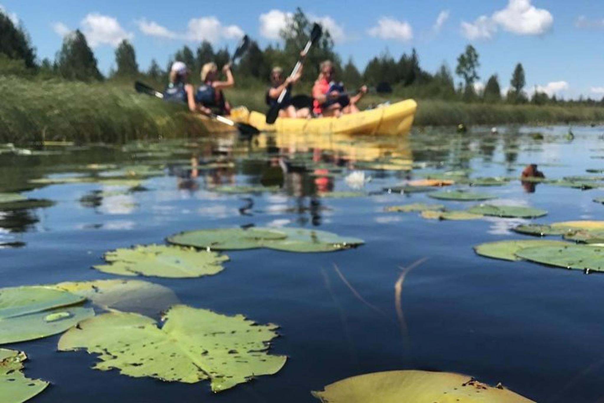 Door County Wetlands Kayak Tour - Image 3