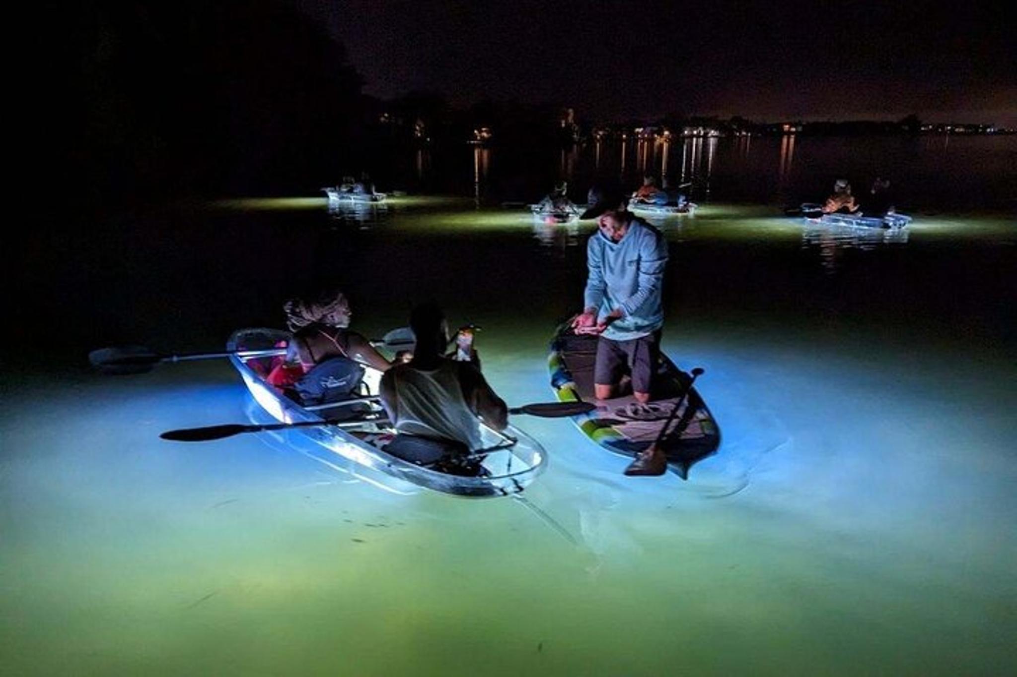 Siesta Key Clear Kayak LED Night Tour 75 Min - Image 6