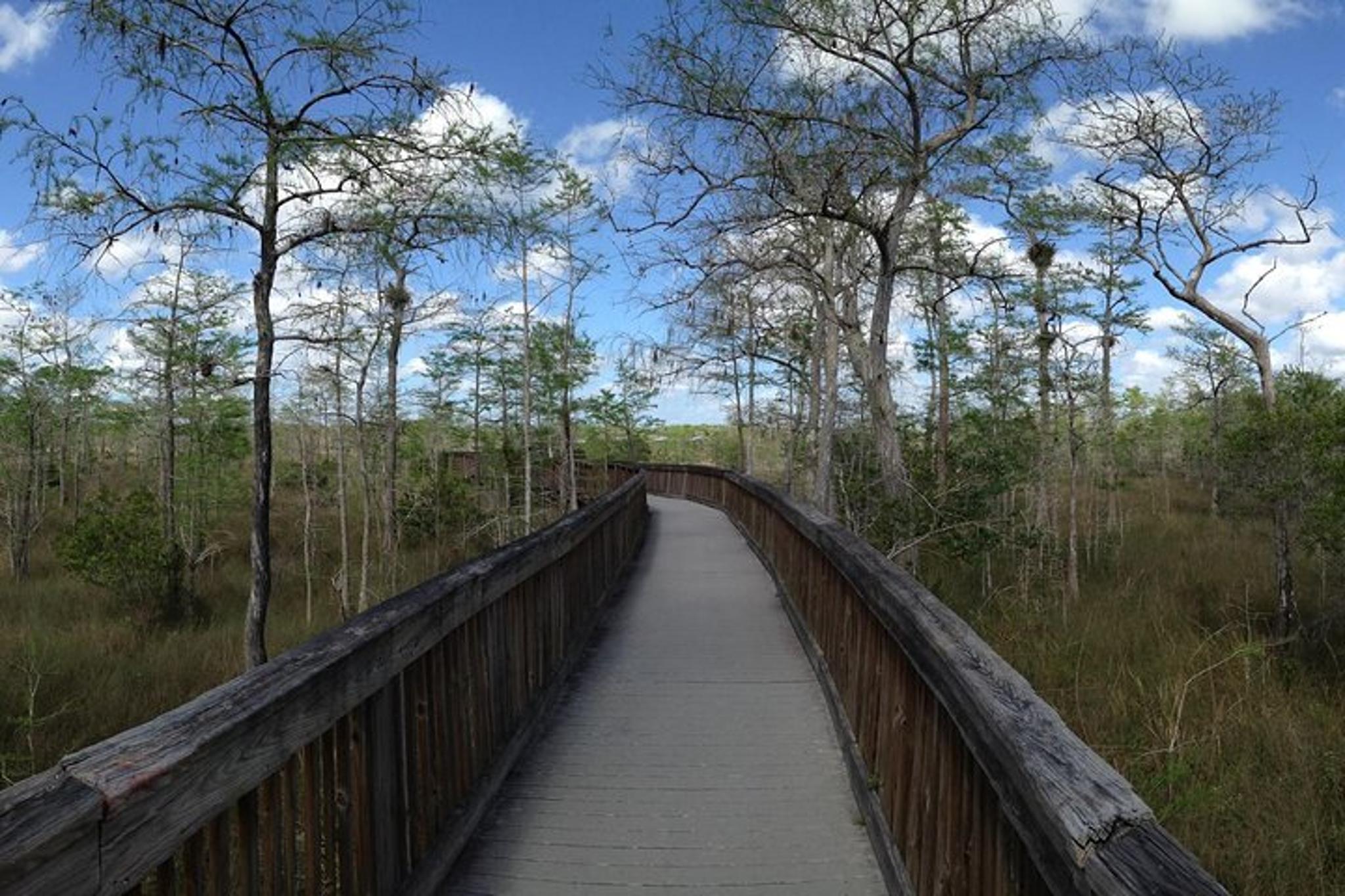Fort Myers Everglades Nature and Airboat Tour - Image 6