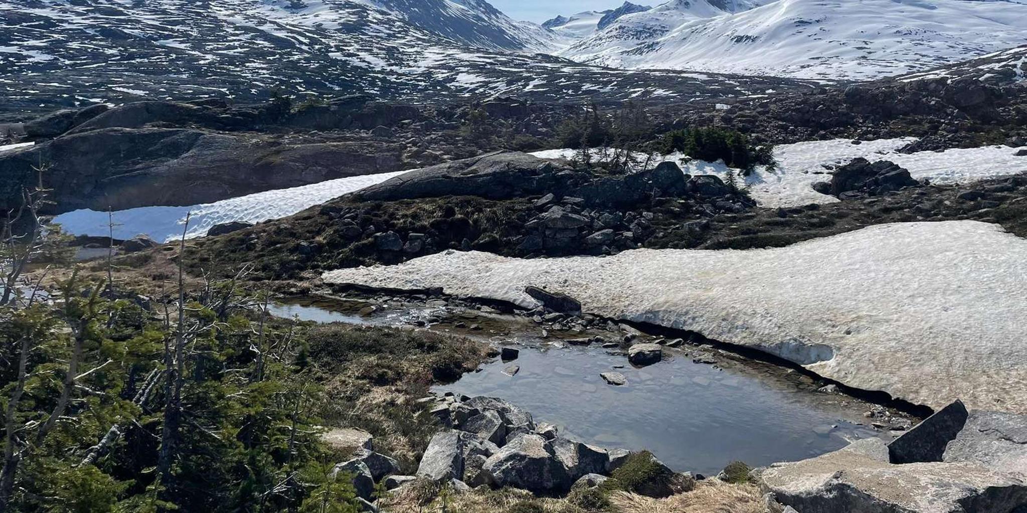 Skagway Highlights Tour with Guide 1.5 hr - Image 6