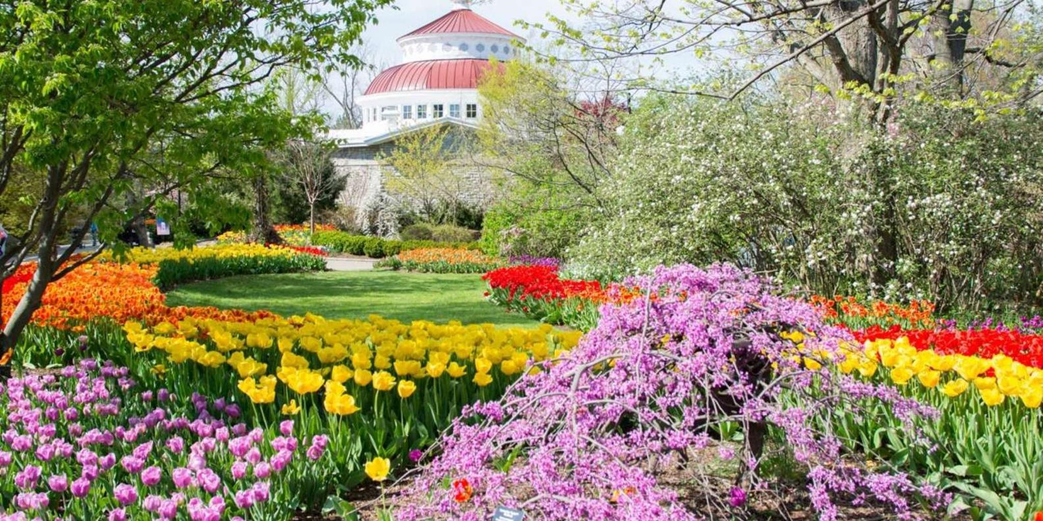 Cincinnati Zoo Admission Ticket - Image 6