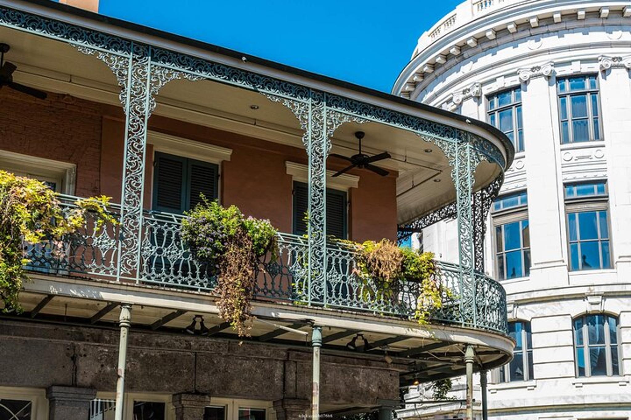 New Orleans Garden District Private Walking Tour 2 hr - Image 1