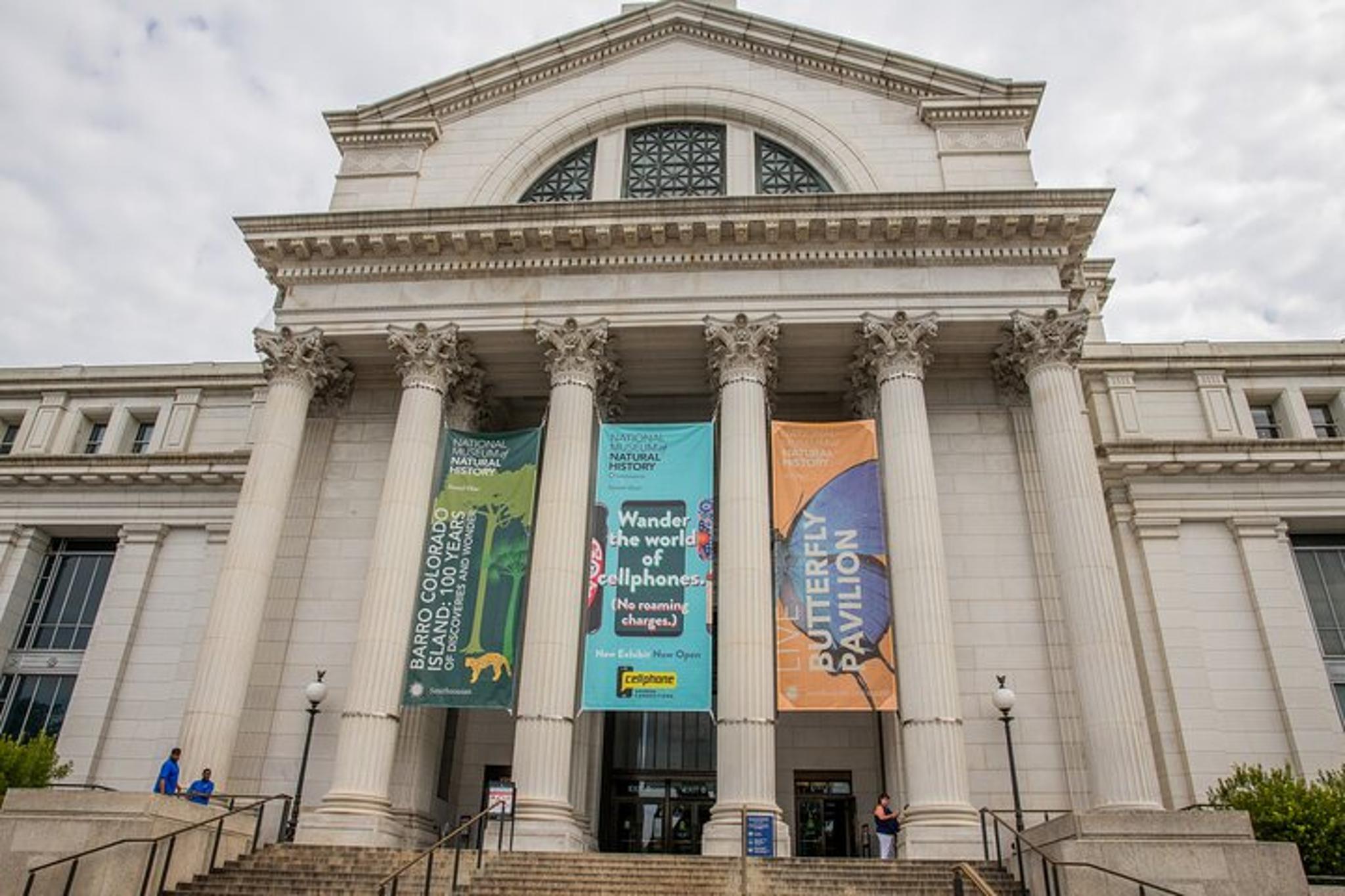 Washington DC Natural History Museum Guided Tour - Image 4
