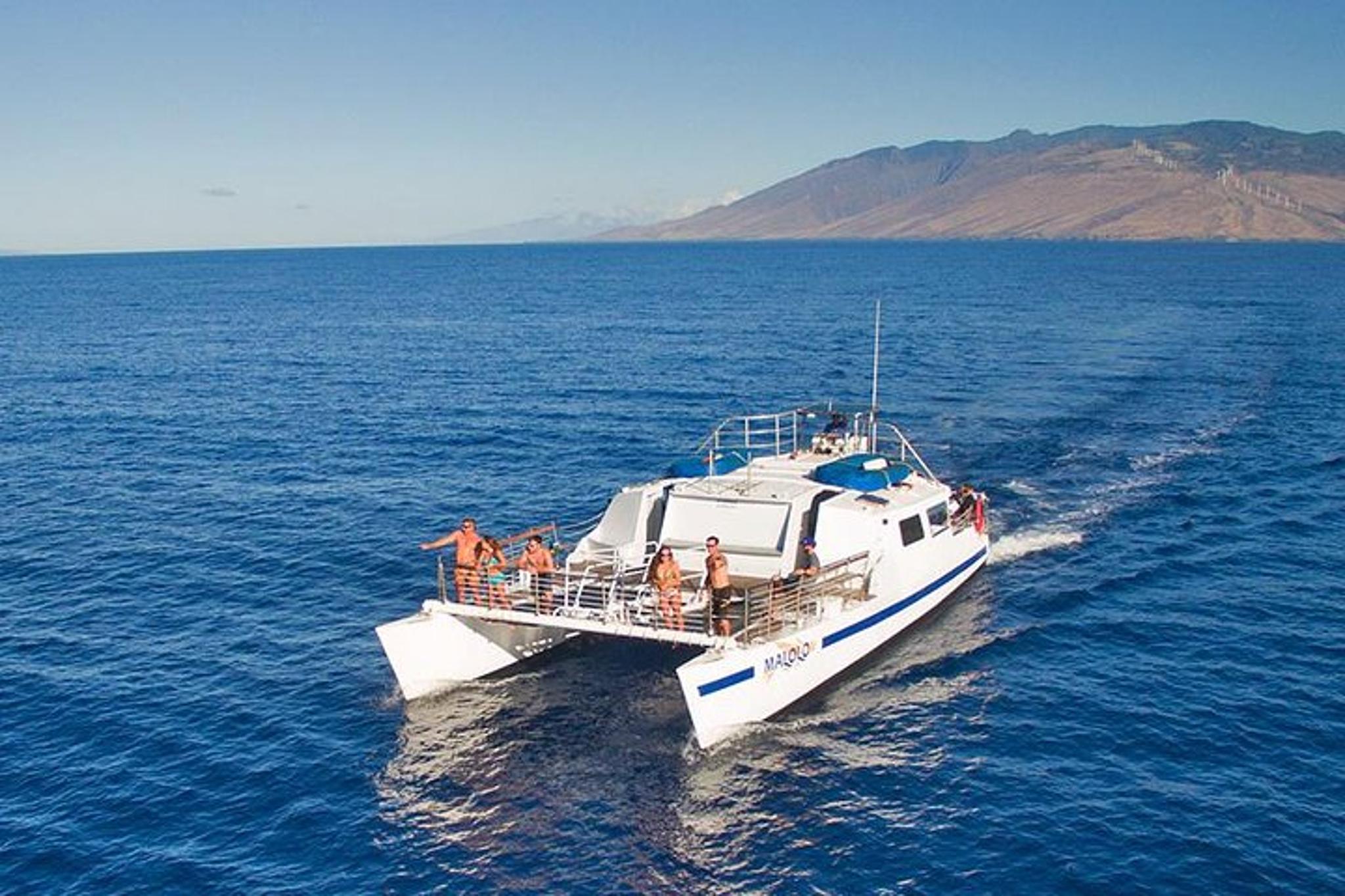 Ma'alaea Whale Watching Cruise - Image 2