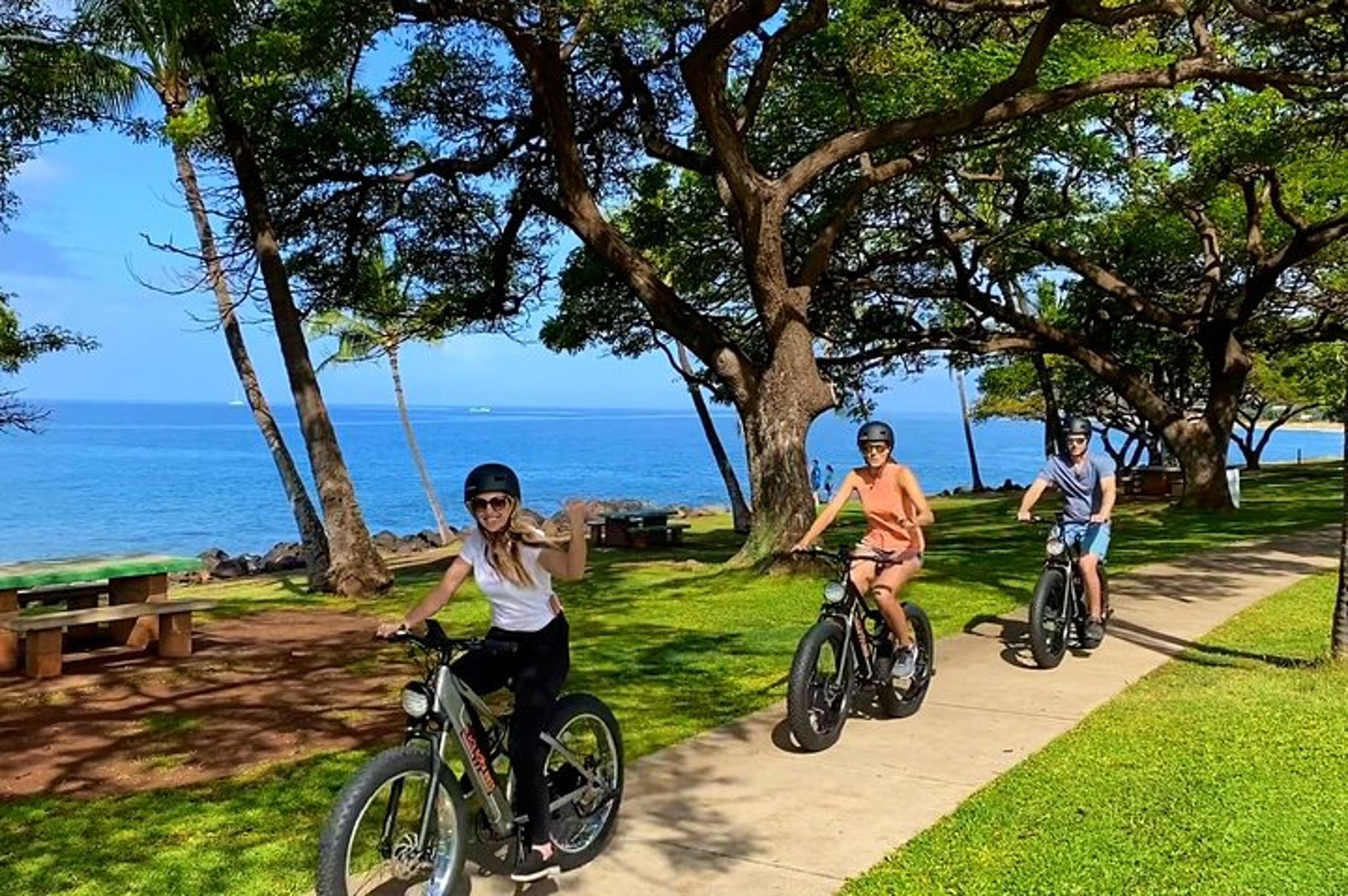 West Maui Self-Guided Electric Bike Tour 2 hr - Image 5
