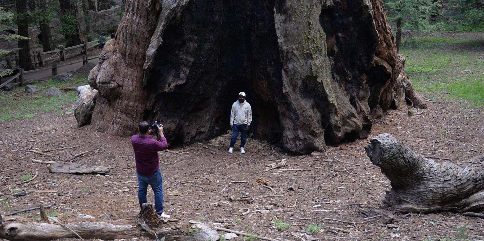 Los Angeles Sequoia and Kings Canyon Private Tour - Image 3