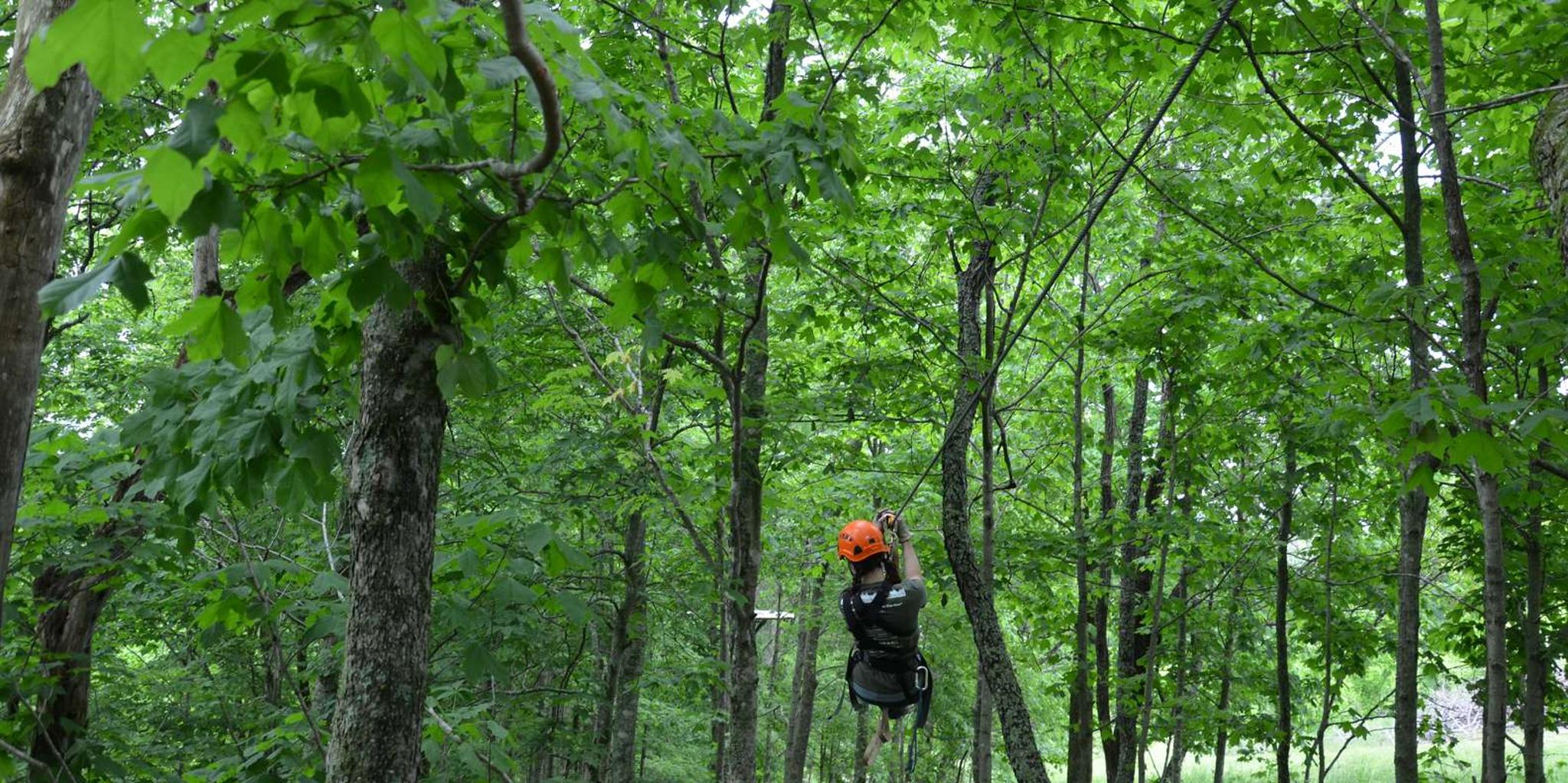 Lexington Zipline Canopy Tour