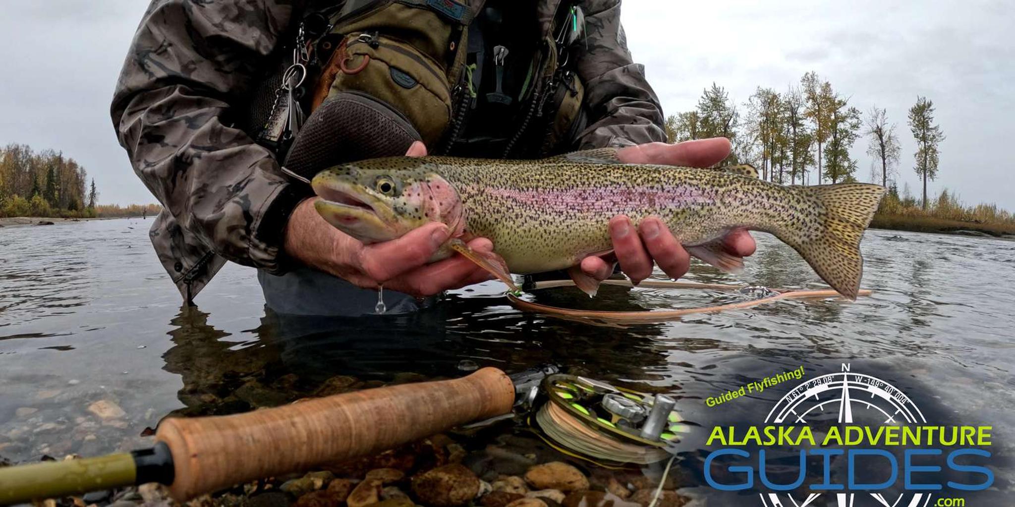 Anchorage Guided Fly-Fishing Full-Day Tour - Image 2
