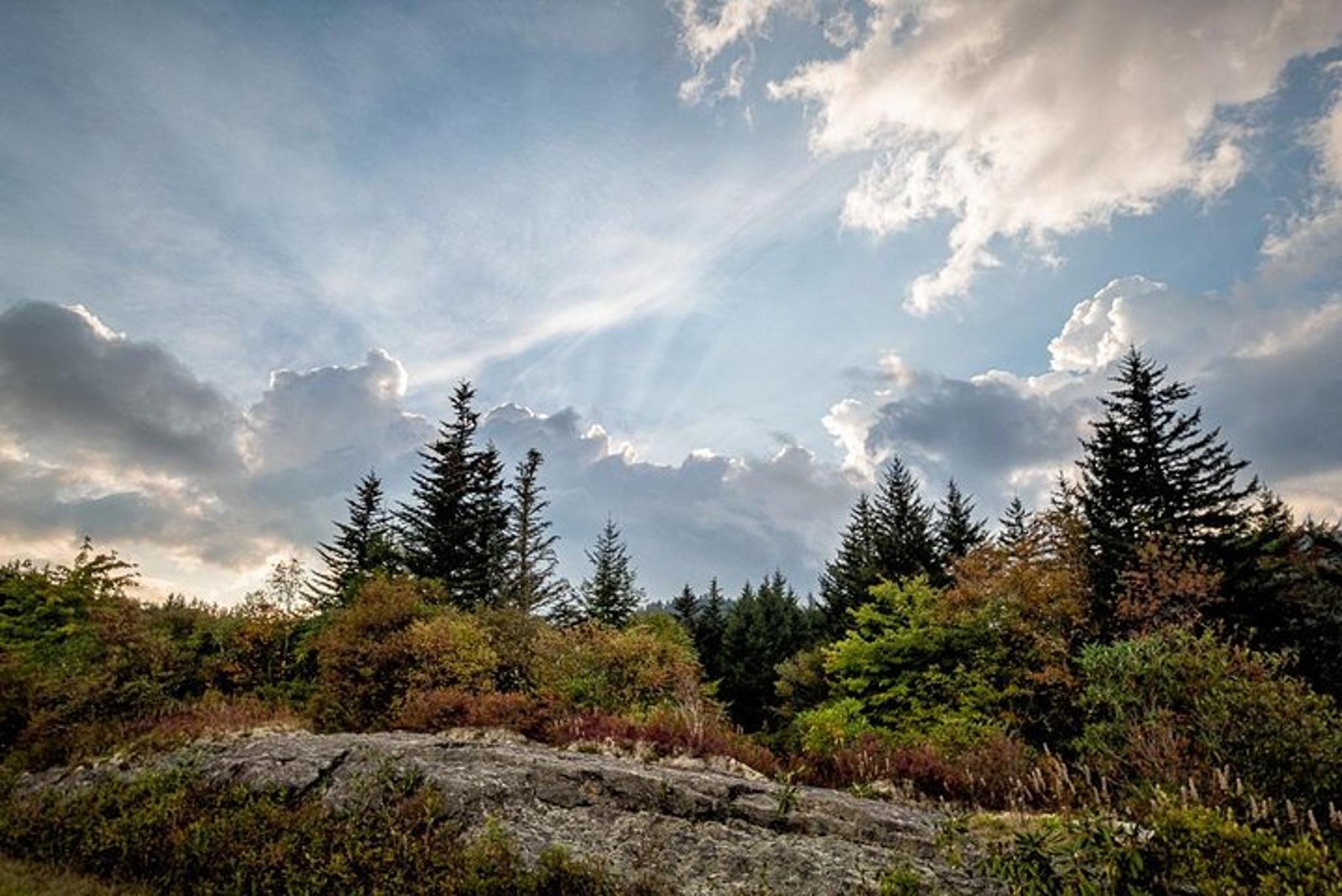 Asheville Waterfall Photography Tour - Image 5