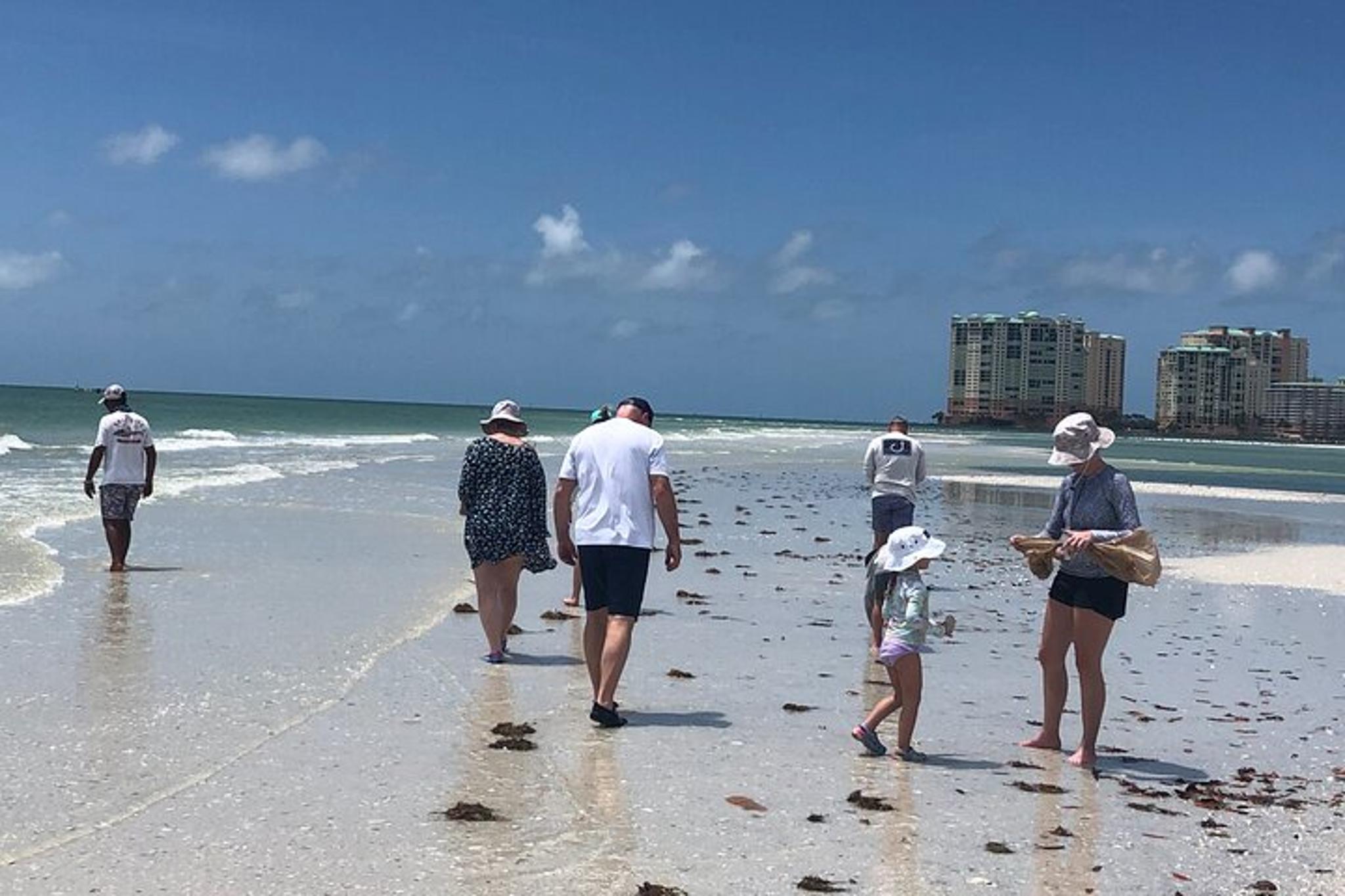 10,000 Islands Shelling Boat Tour - Image 3