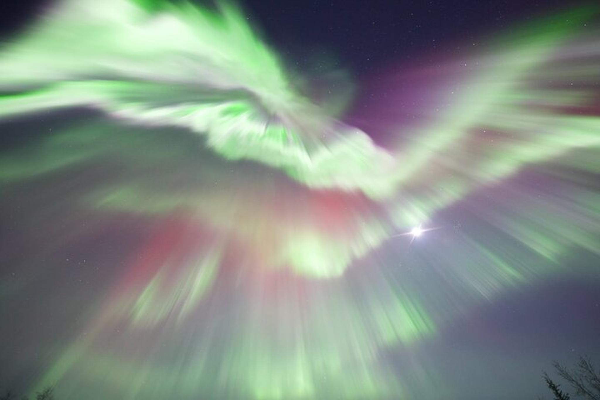 Alaska Arctic Circle and Aurora Viewing Tour - Image 3