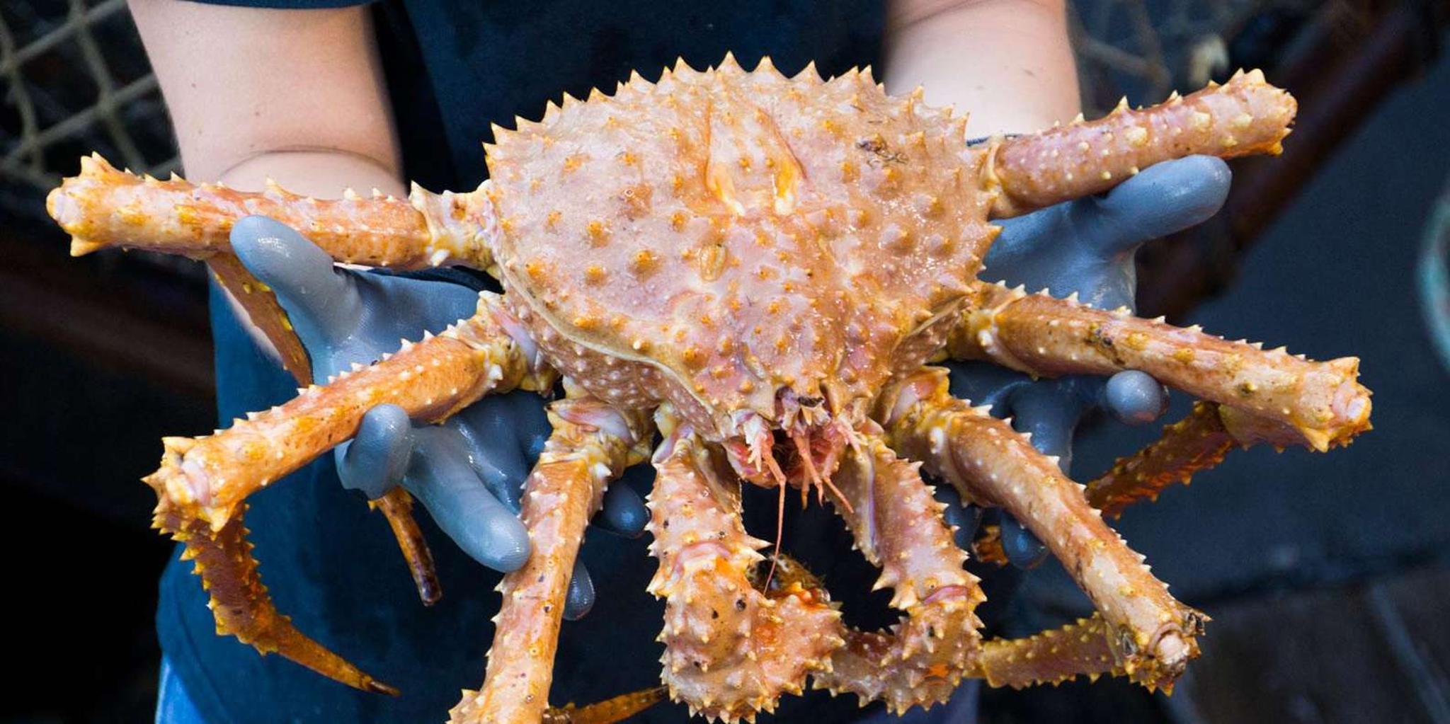 Ketchikan Bering Sea Crab Fishermen's Tour 3 hr - Image 4