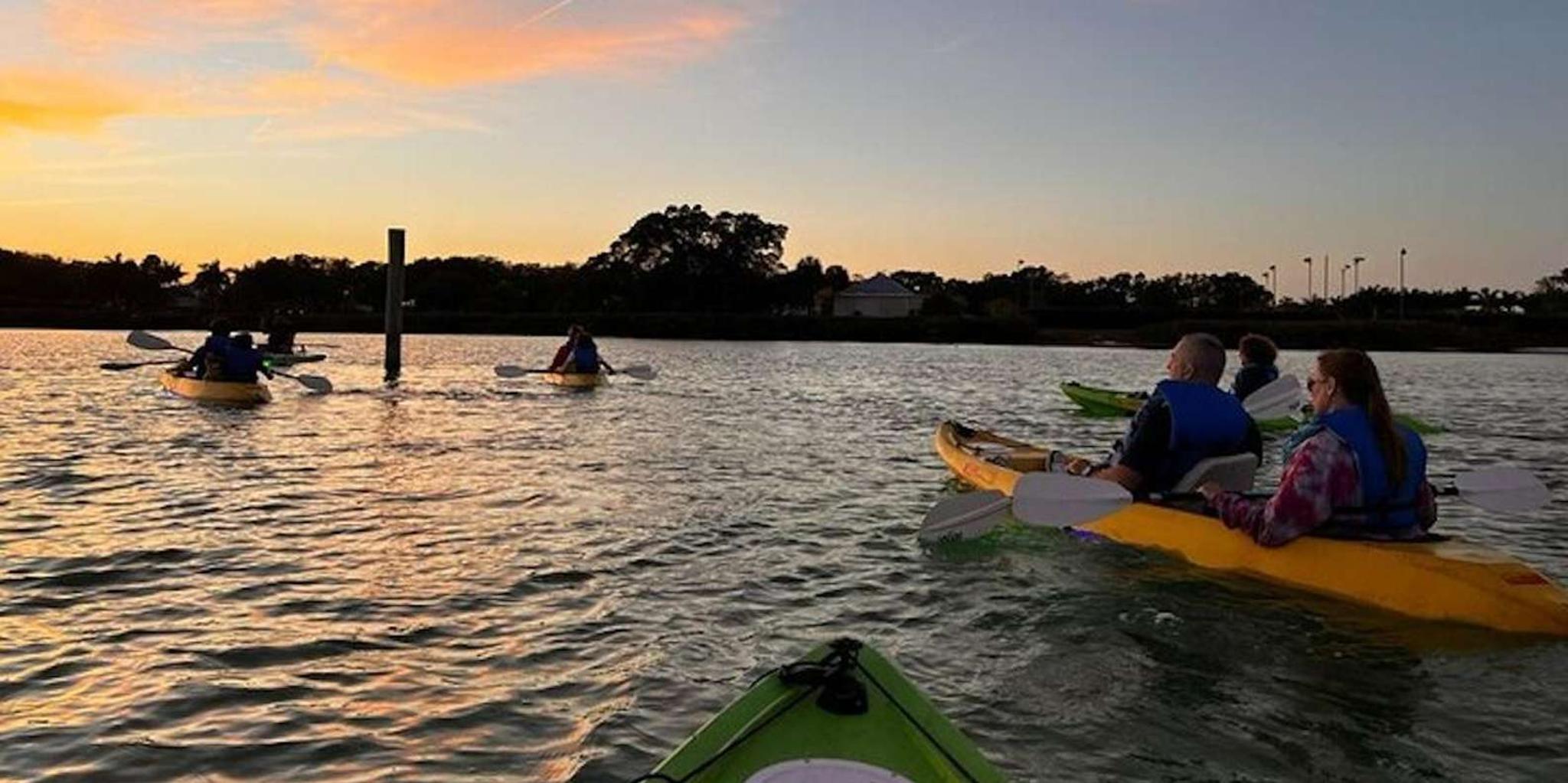 Sarasota Glass Bottom Kayak Night Tour - Image 6