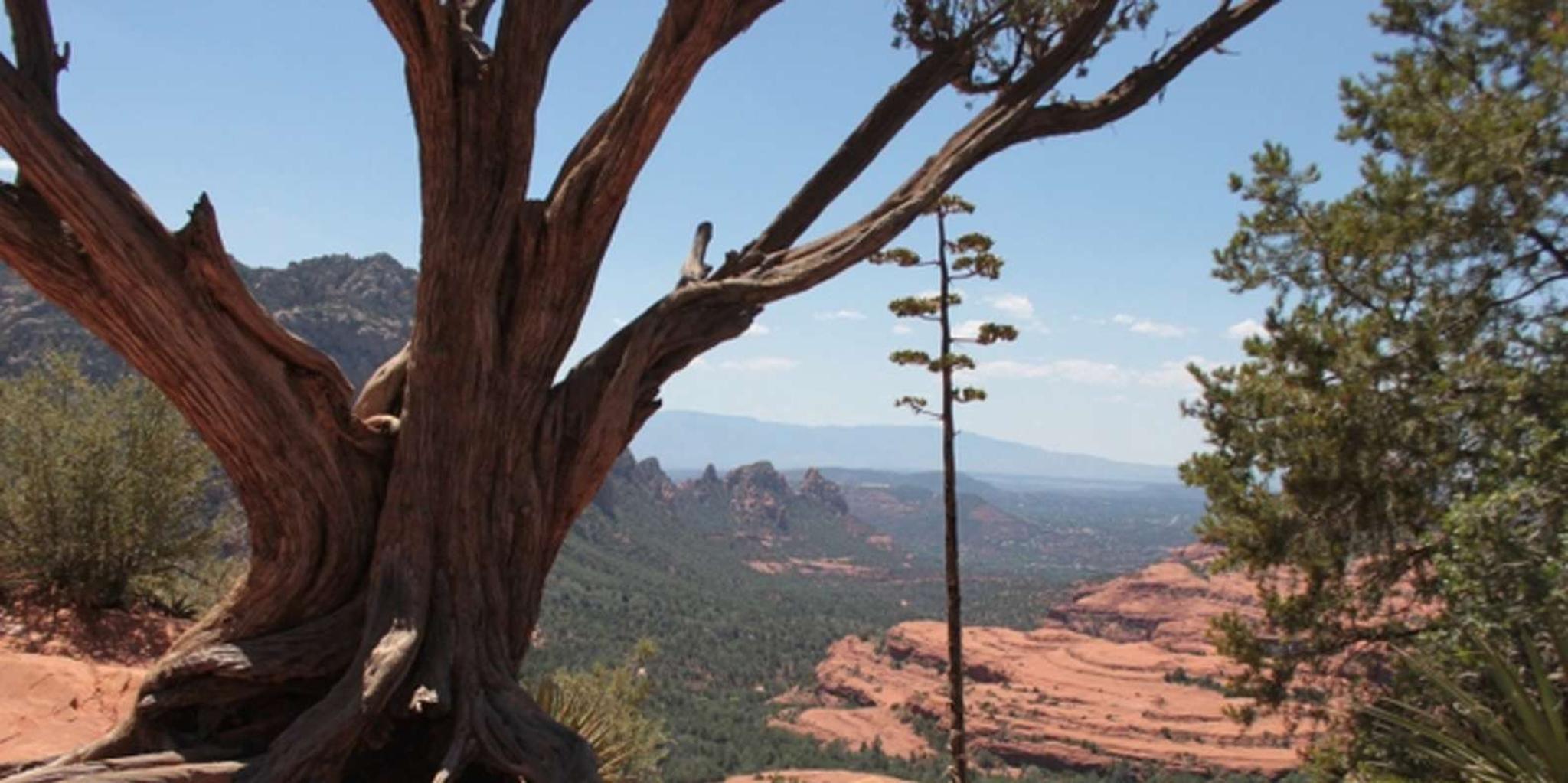 Sedona Jeep Tour Colorado Plateau 2 hr