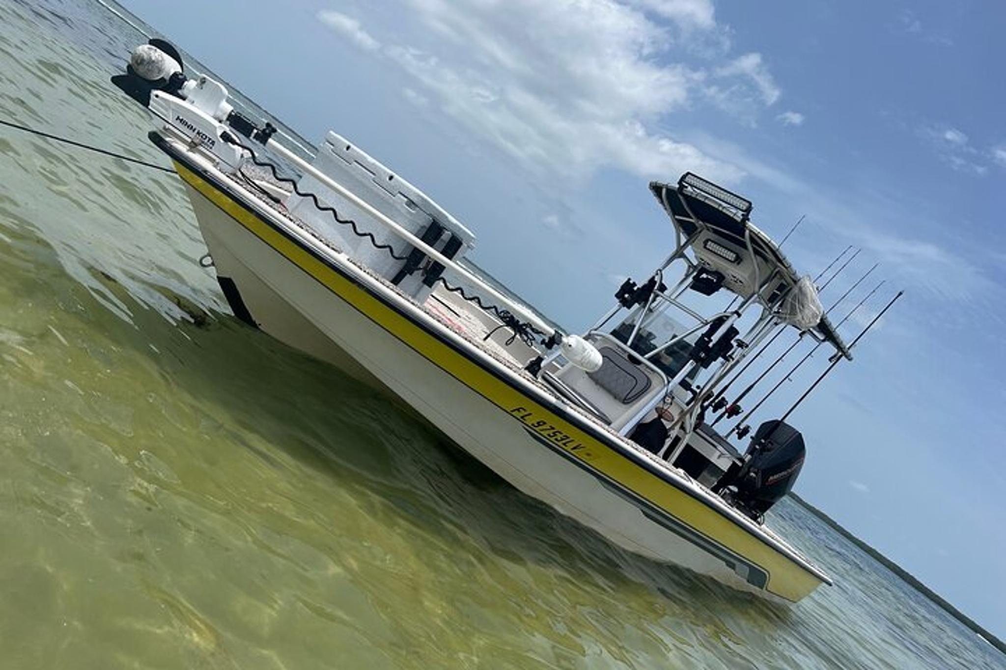 Tampa Fishing Charter - Image 4