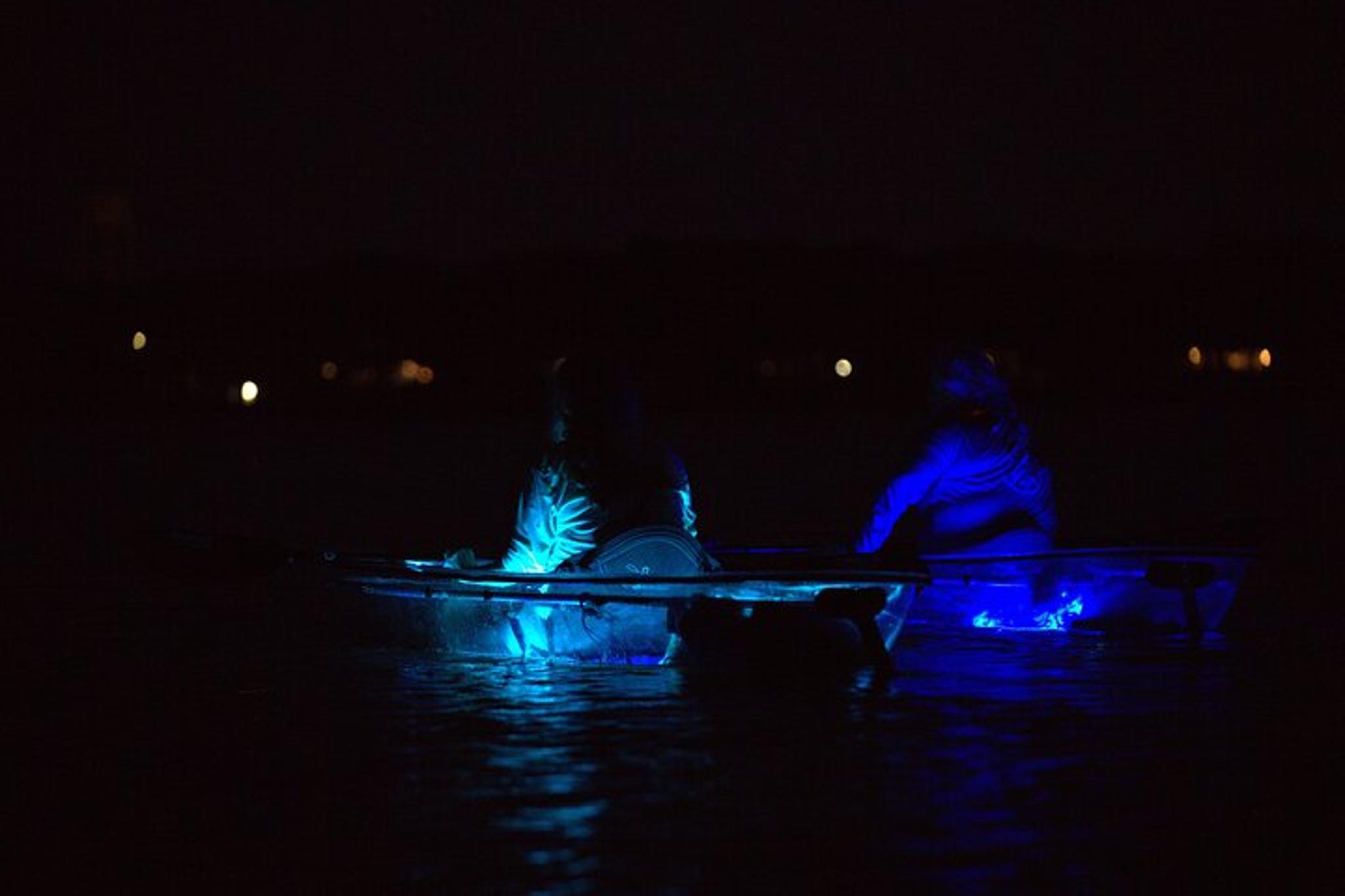 Destin Clear Kayak Glow Tour - Image 4