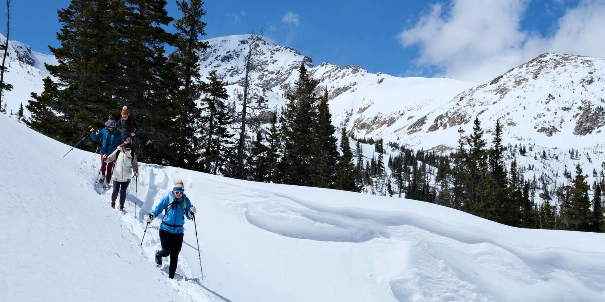 Denver Snowshoeing Tour in Rocky Mountains - Image 3