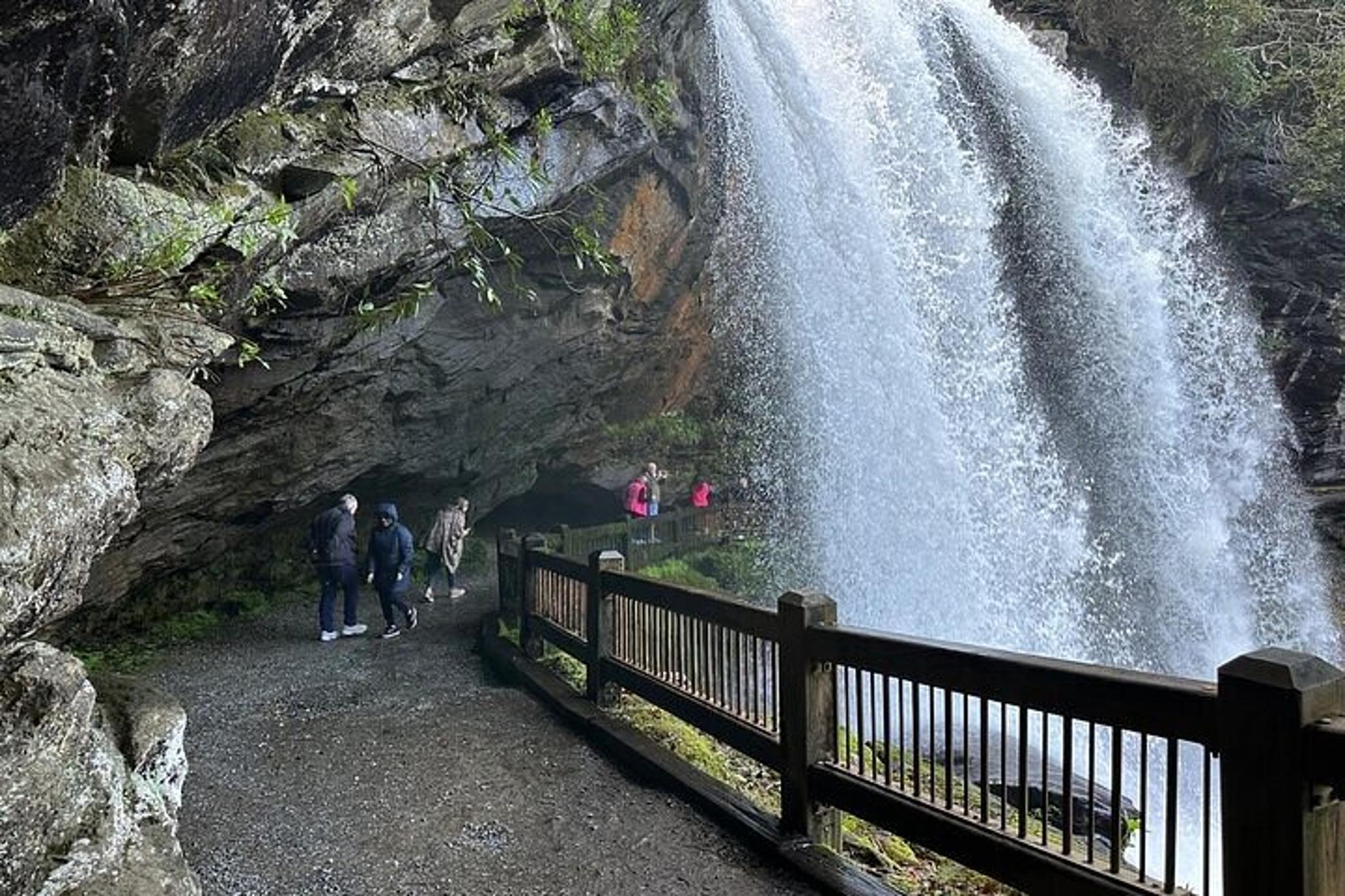 Asheville Rainforest and Waterfall Tour - Image 3