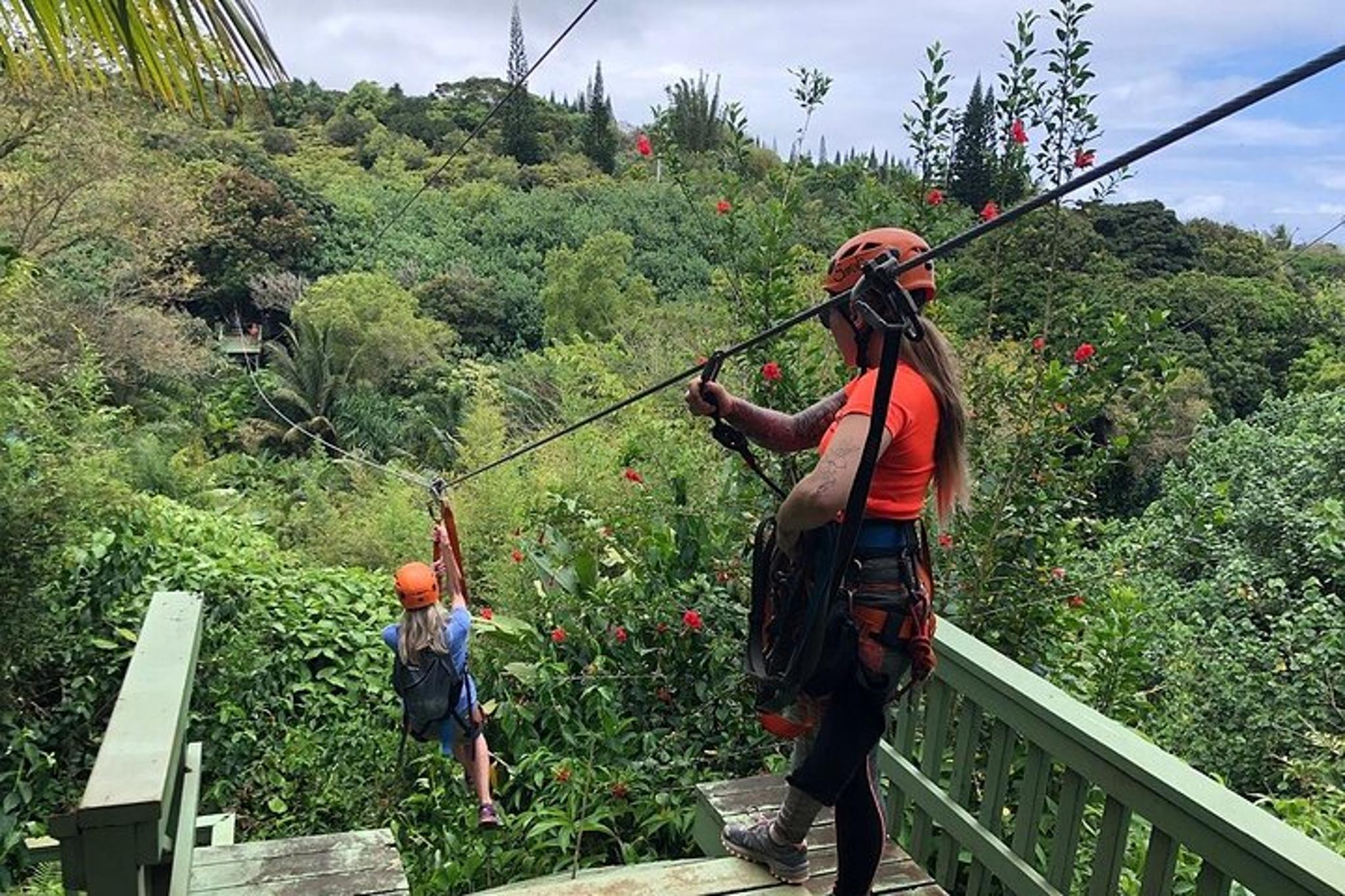 Maui Zipline Eco Adventure - Image 3