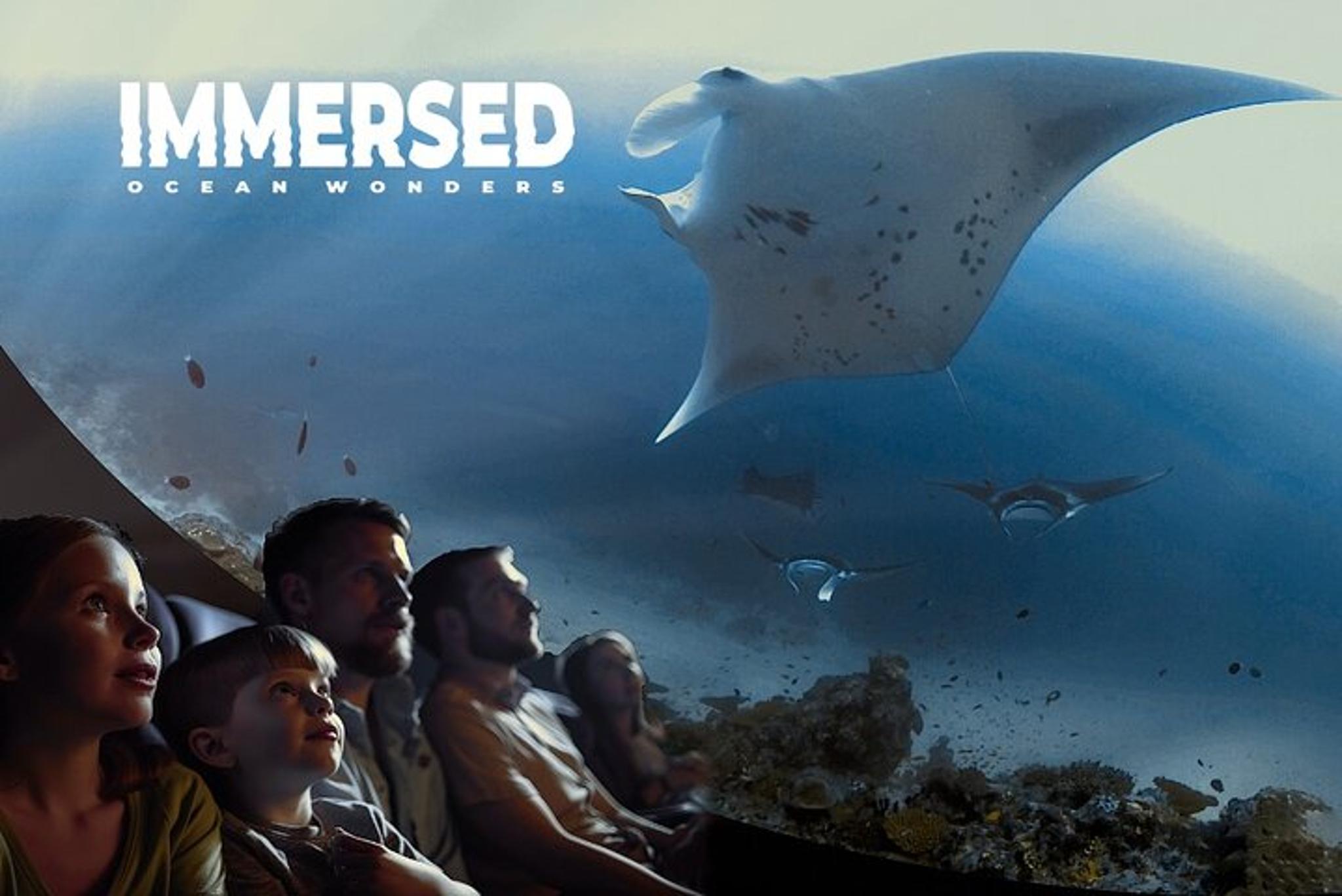 Catalina Island Immersive Movie Experience - Image 2