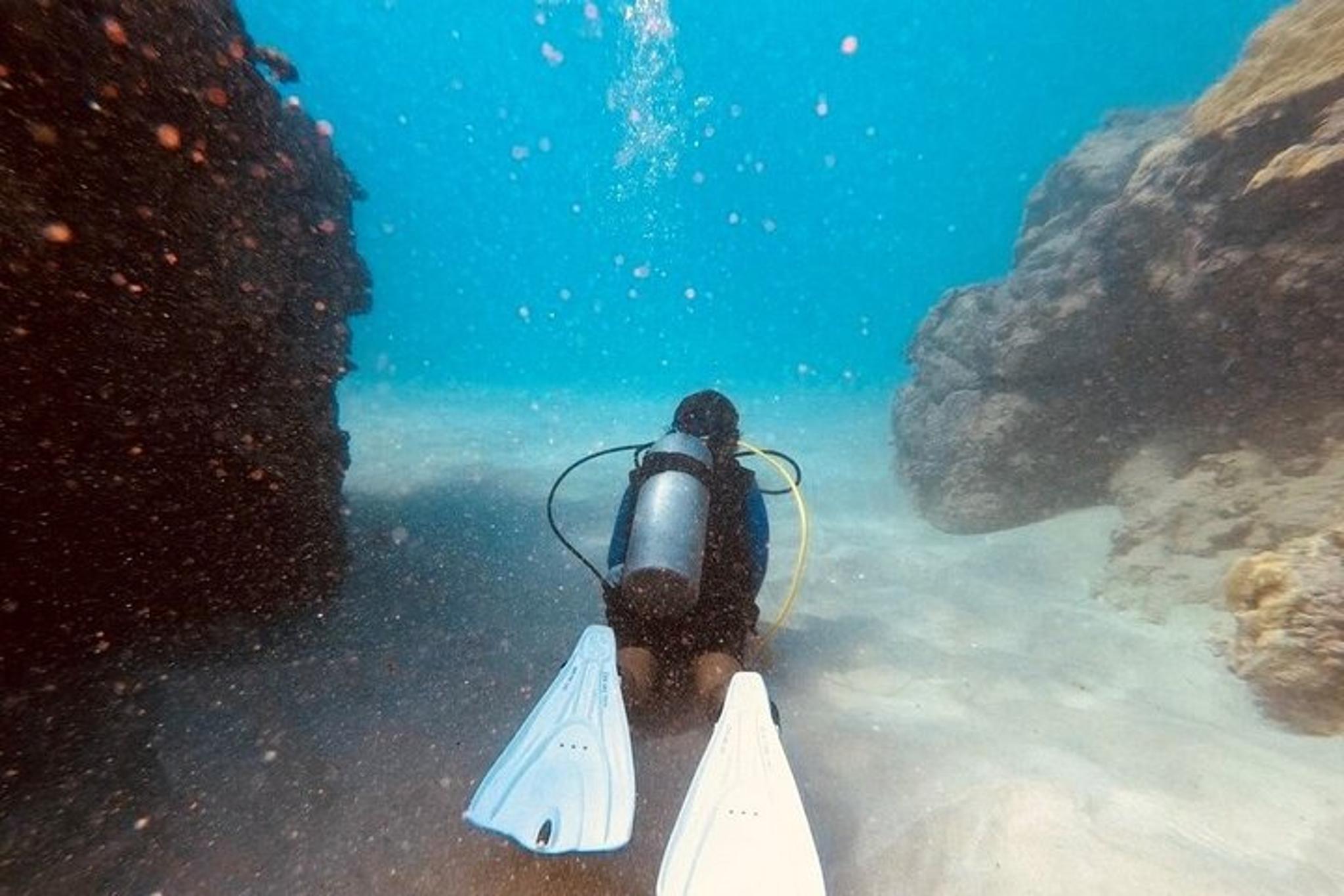 Kona Shore Dive or Refresher Dive - Image 5