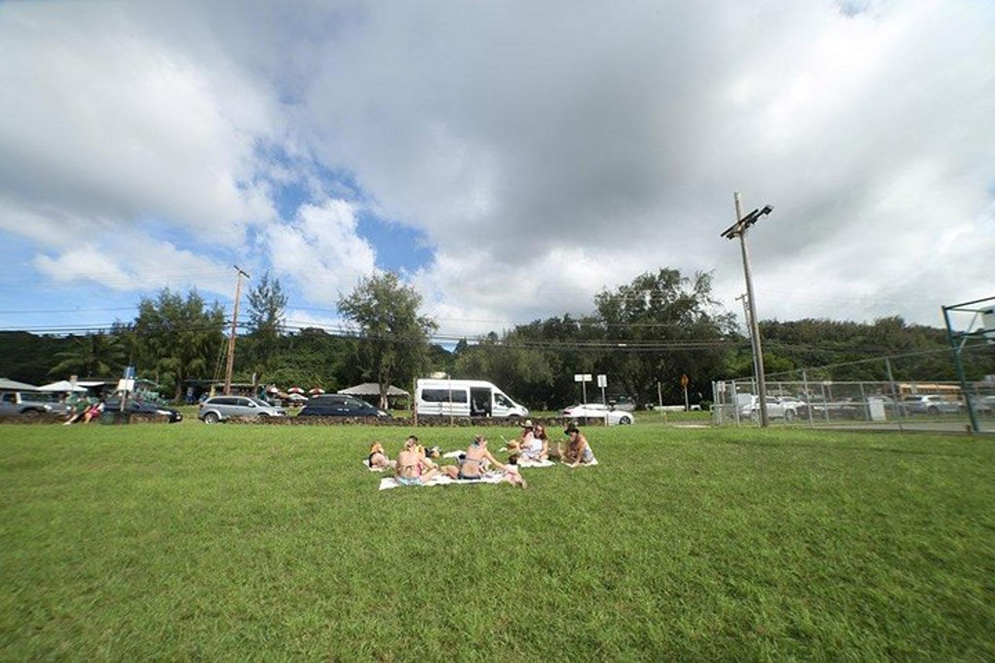 North Shore Transportation - Image 4