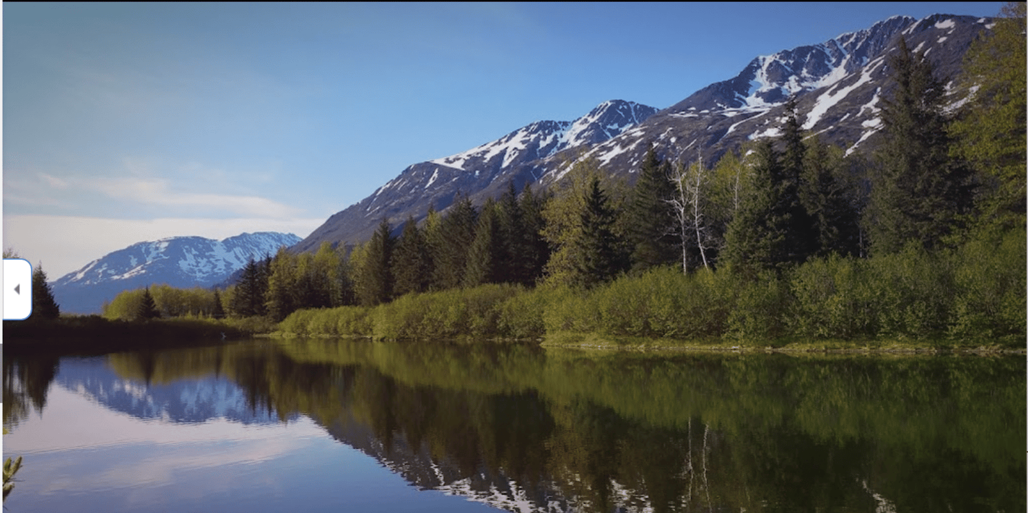 Anchorage Wilderness, Wildlife, and Glacier Experience - Image 5