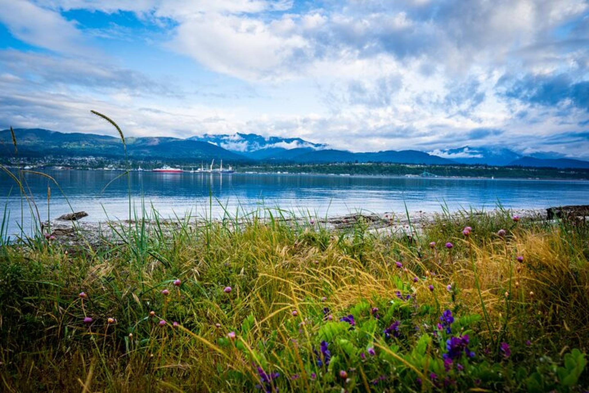 Port Angeles Electric Bike Ride on Olympic Discovery Trail - Image 3