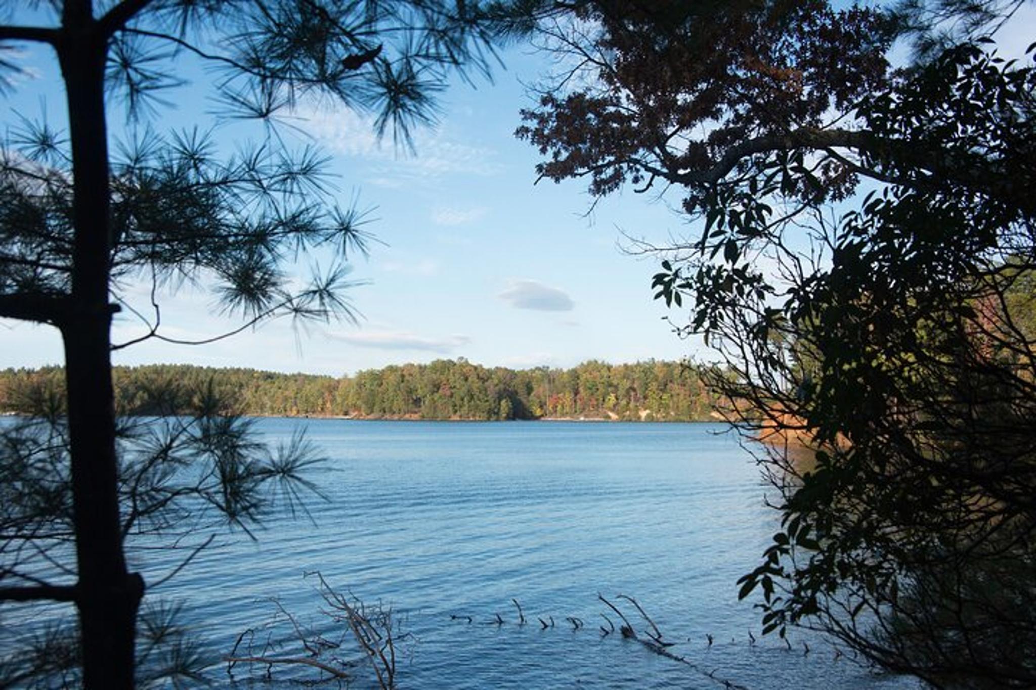Lake James Kayak Tour - Image 3