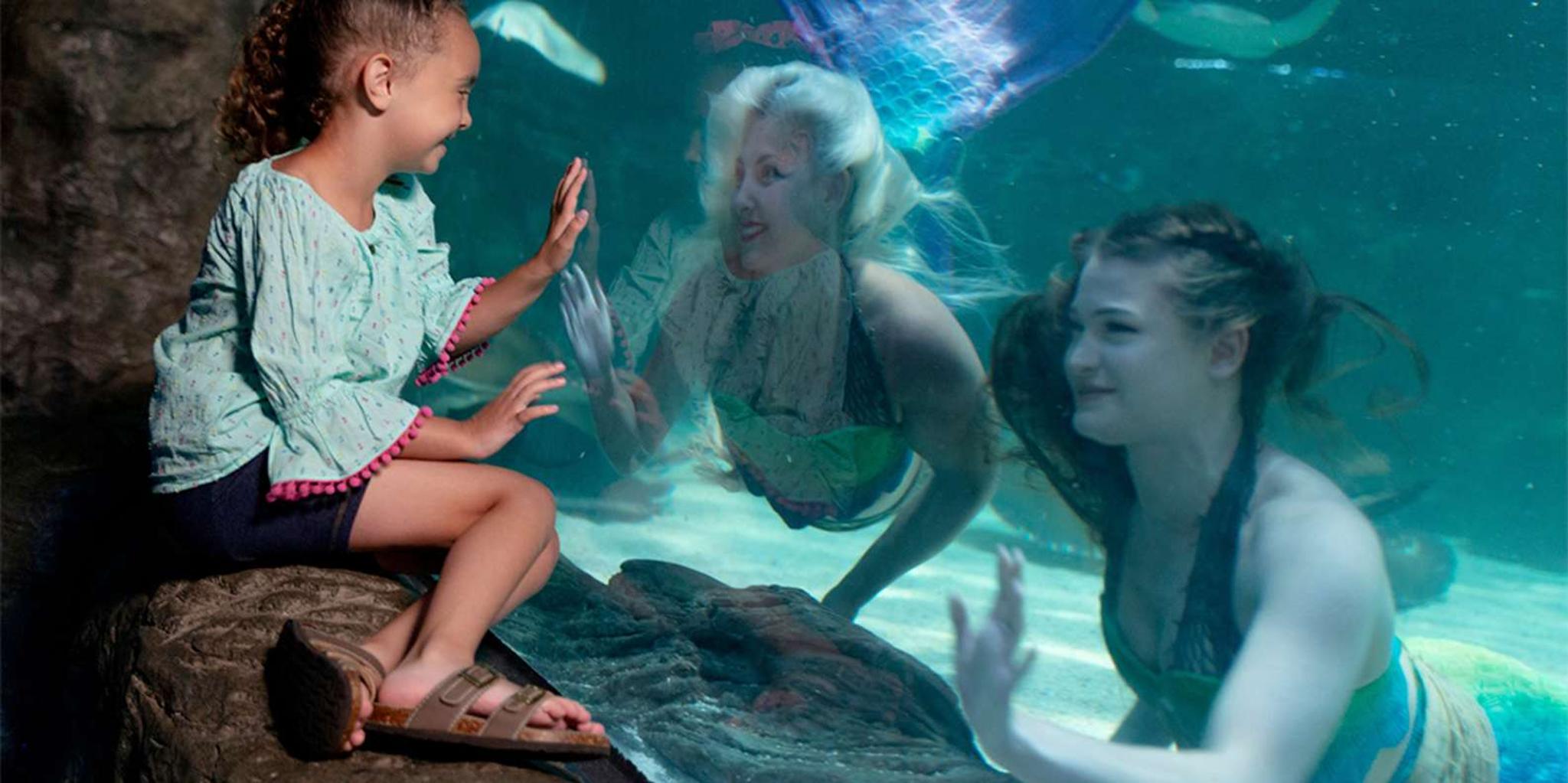 Myrtle Beach Aquarium Entry Ticket