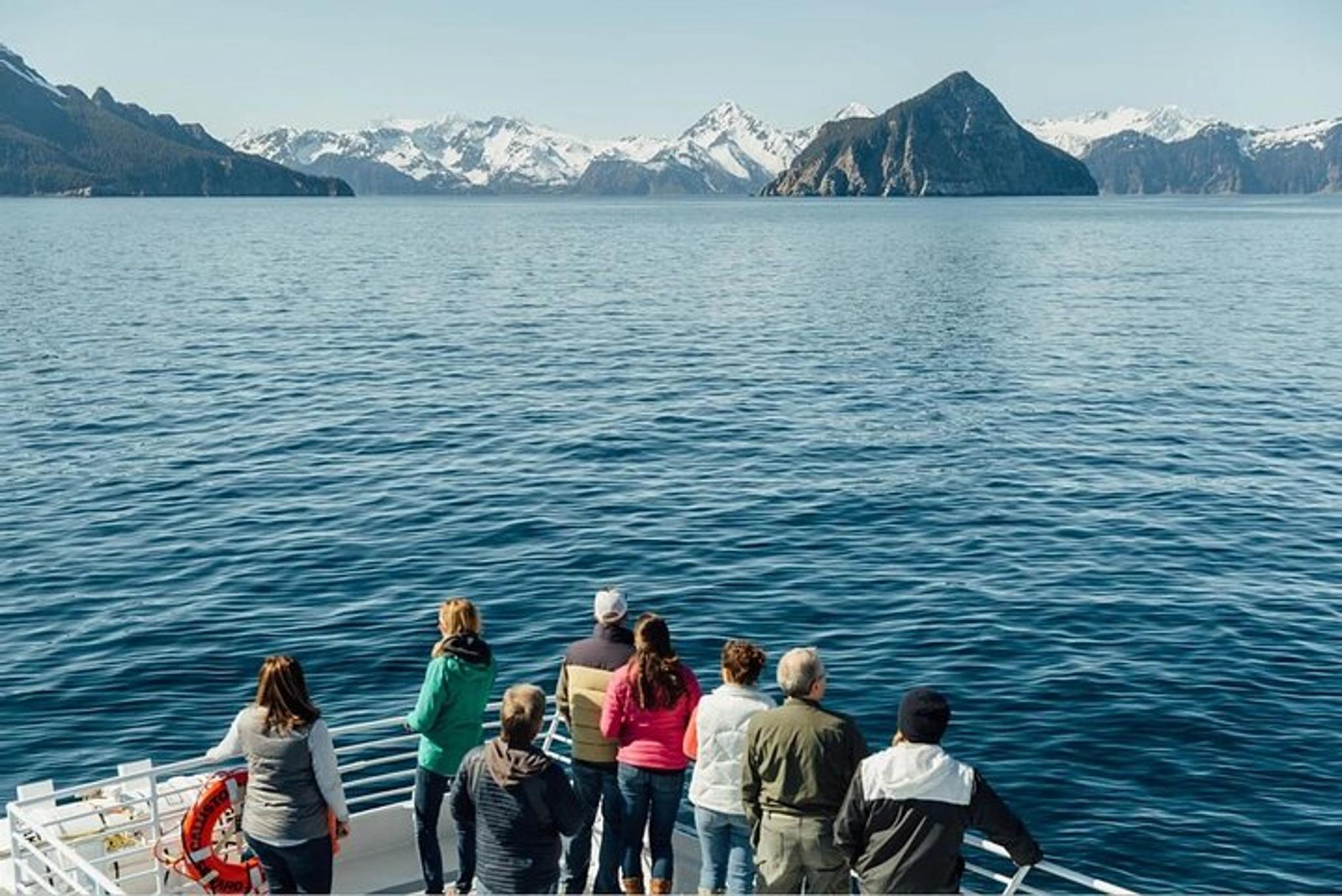 Seward Kenai Fjords National Park Cruise - Image 4